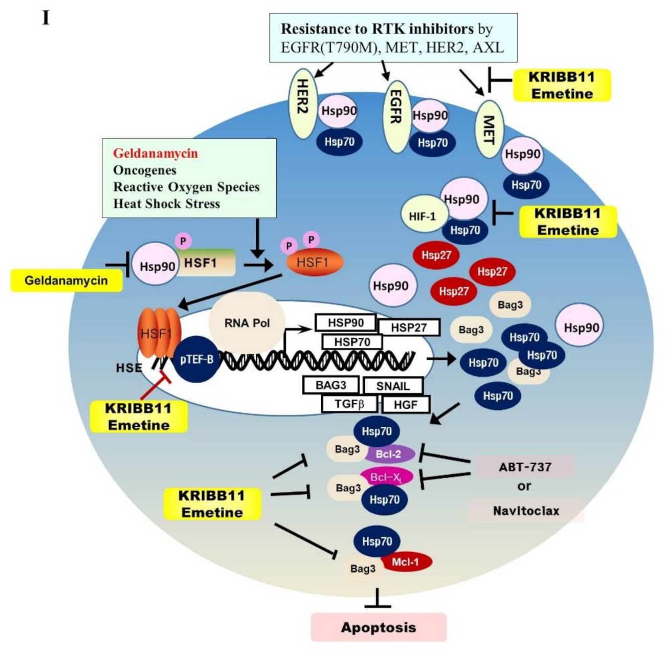 Cancers 13 02987 g006c Cancers 13 02987 g006c
