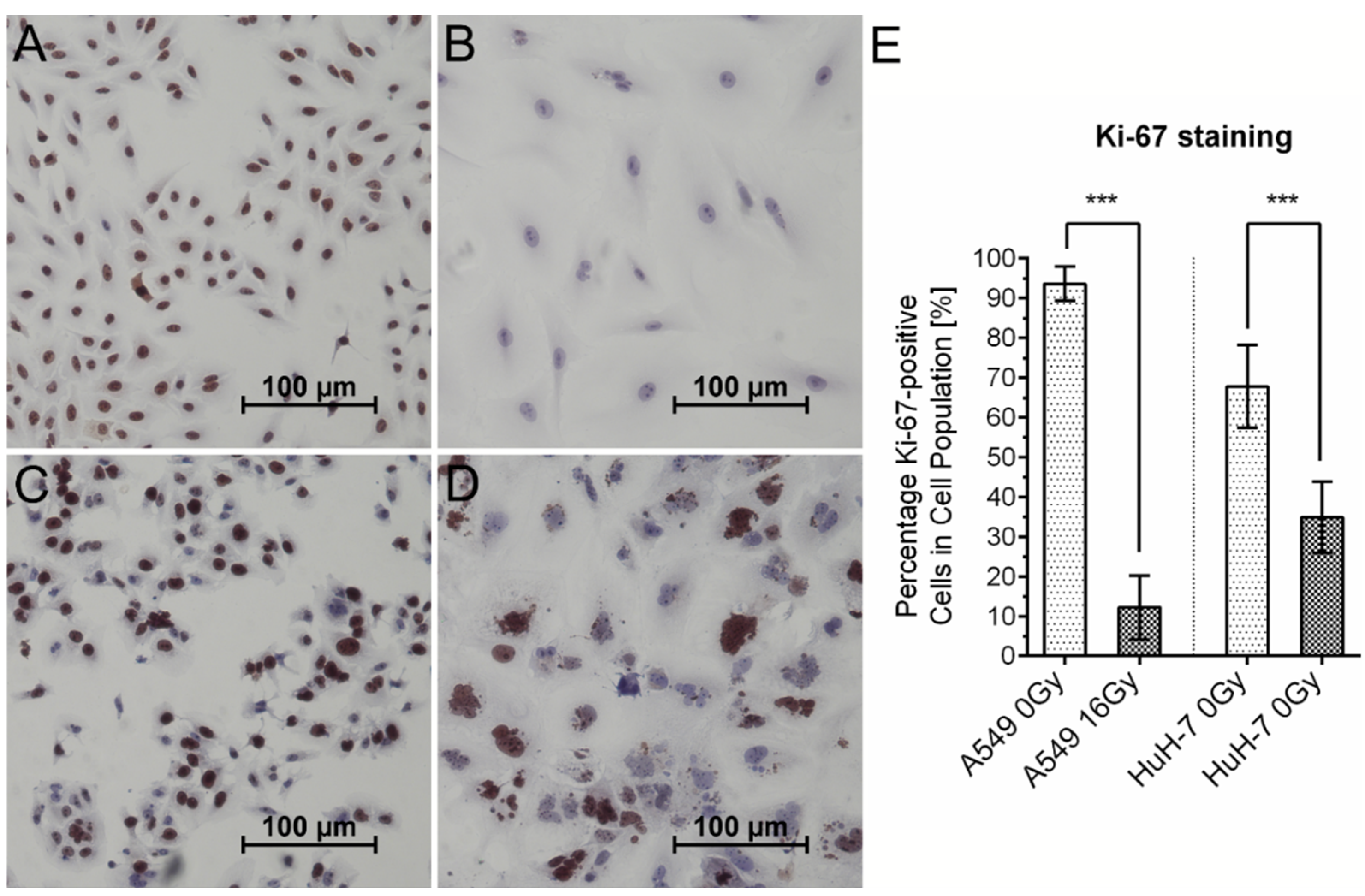 Cancers 13 02989 g006