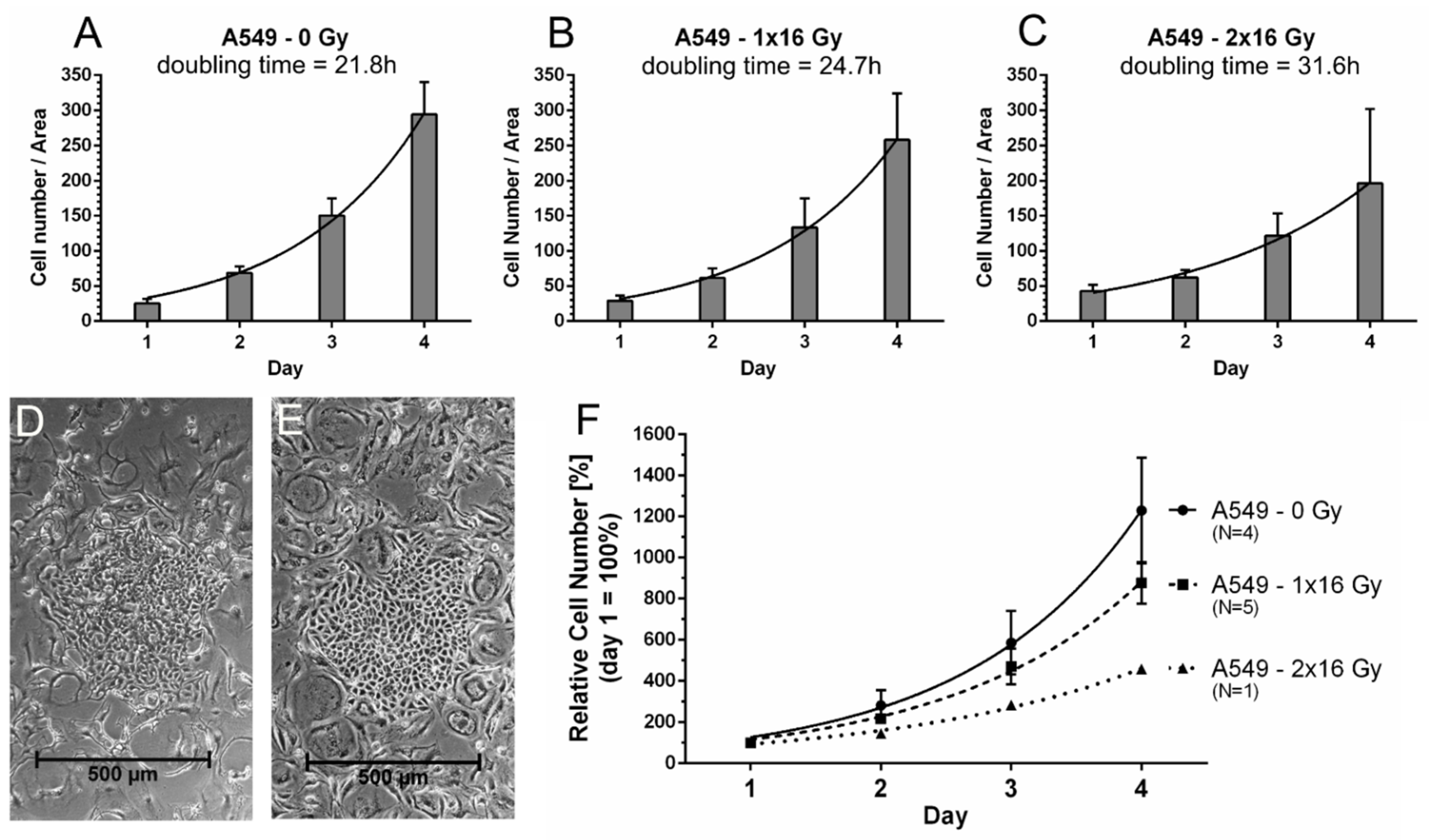 Cancers 13 02989 g012