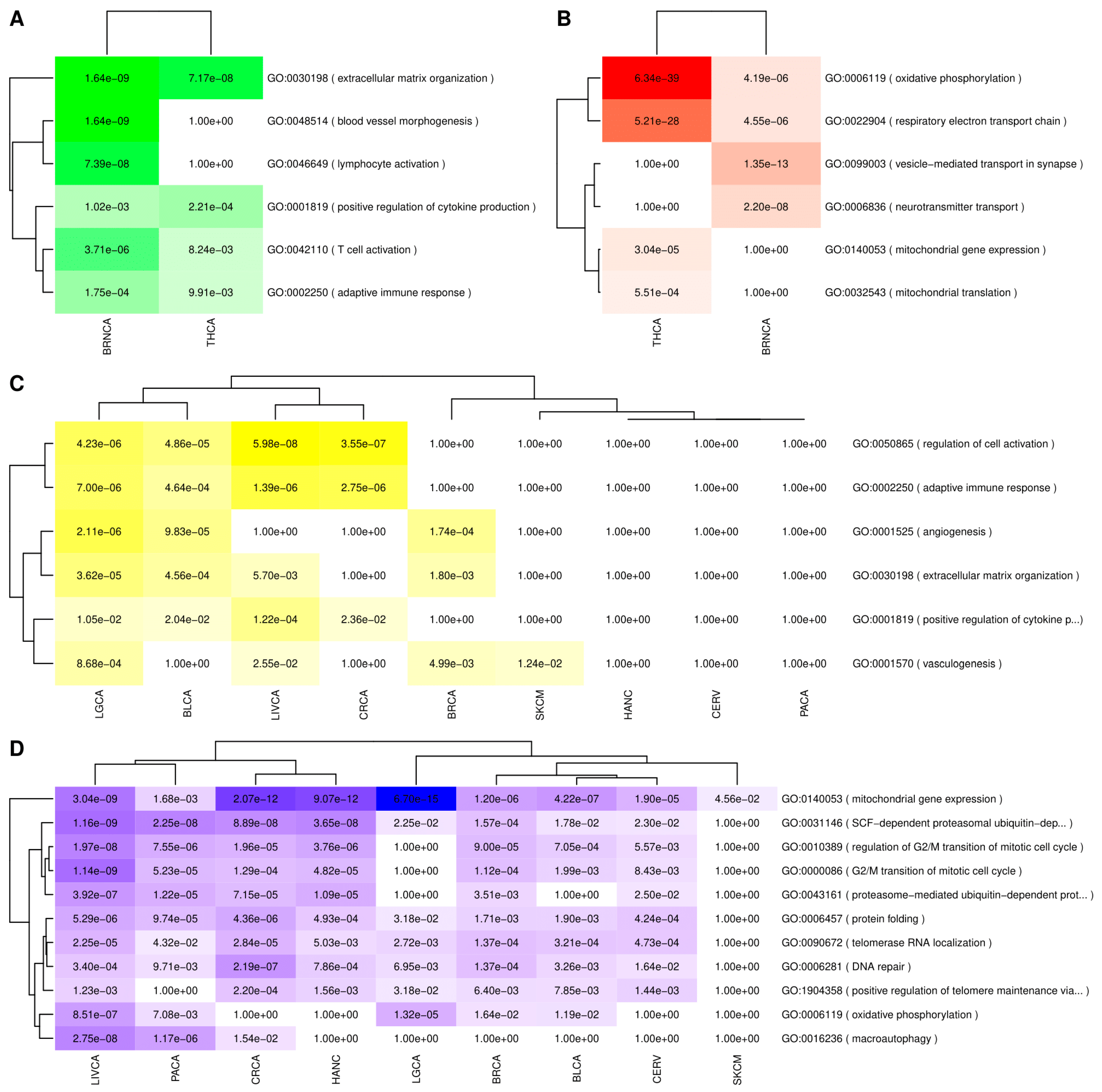 Cancers 13 02990 g002 Cancers 13 02990 g002