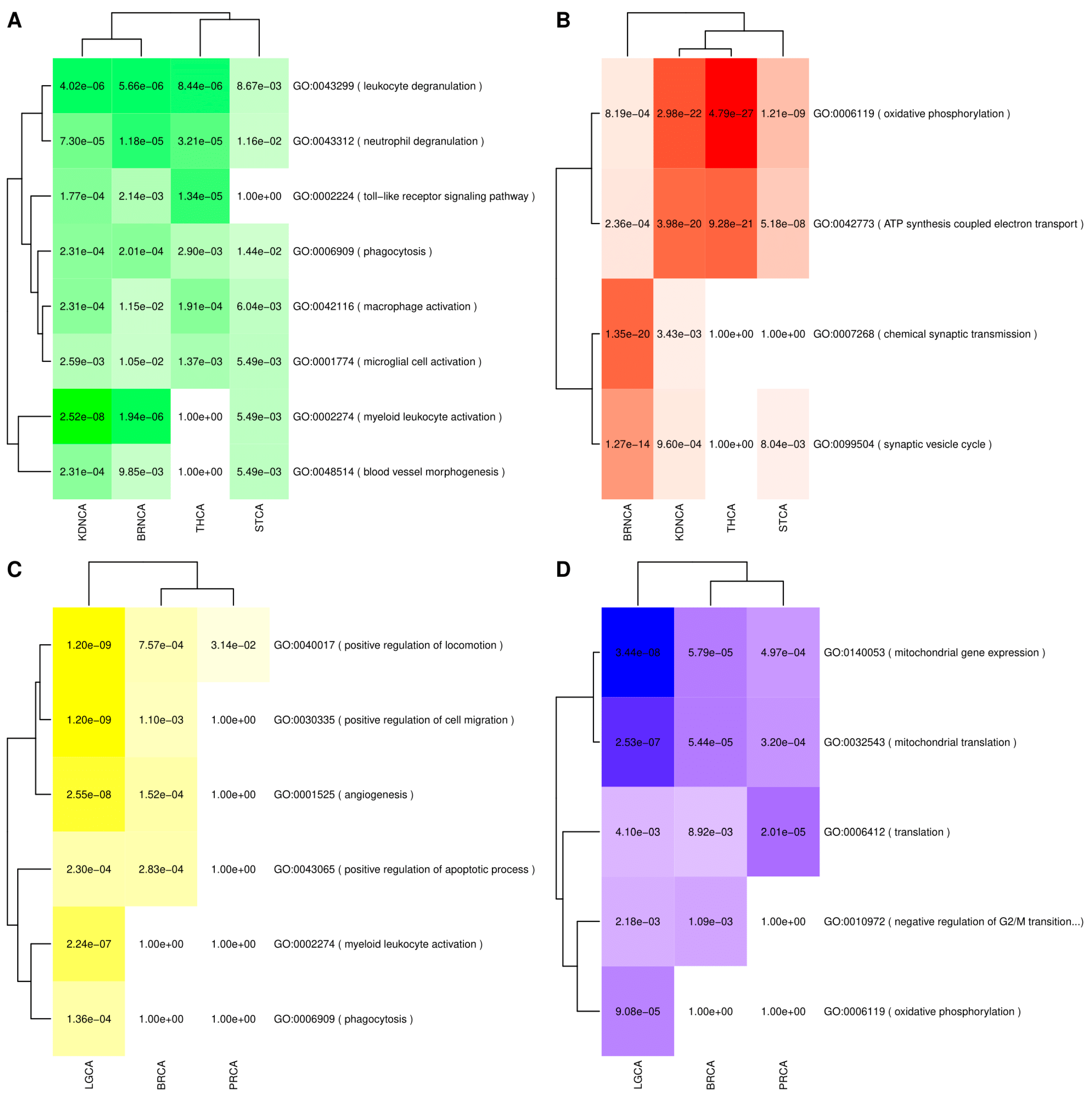 Cancers 13 02990 g004 Cancers 13 02990 g004
