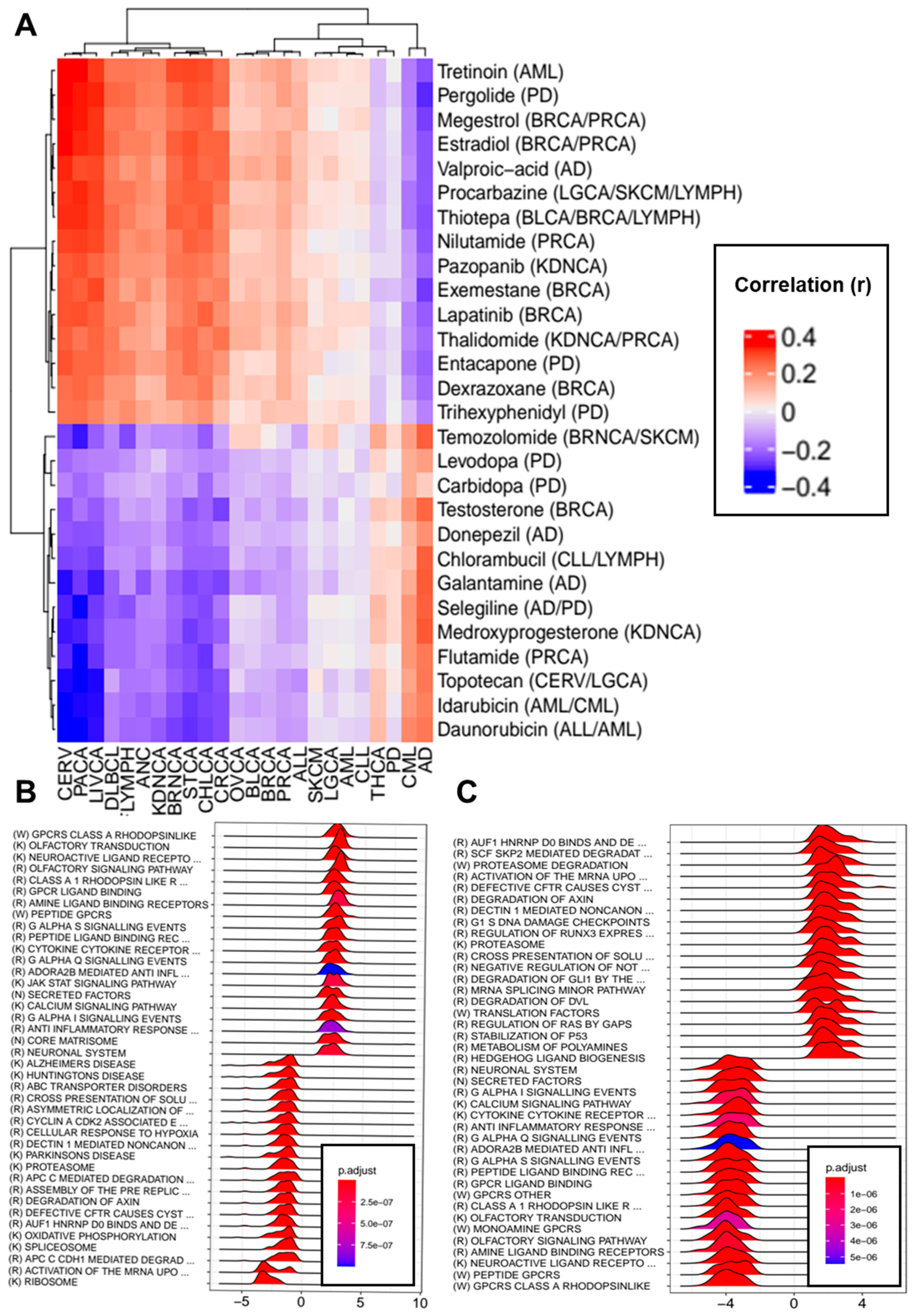 Cancers 13 02990 g006 Cancers 13 02990 g006