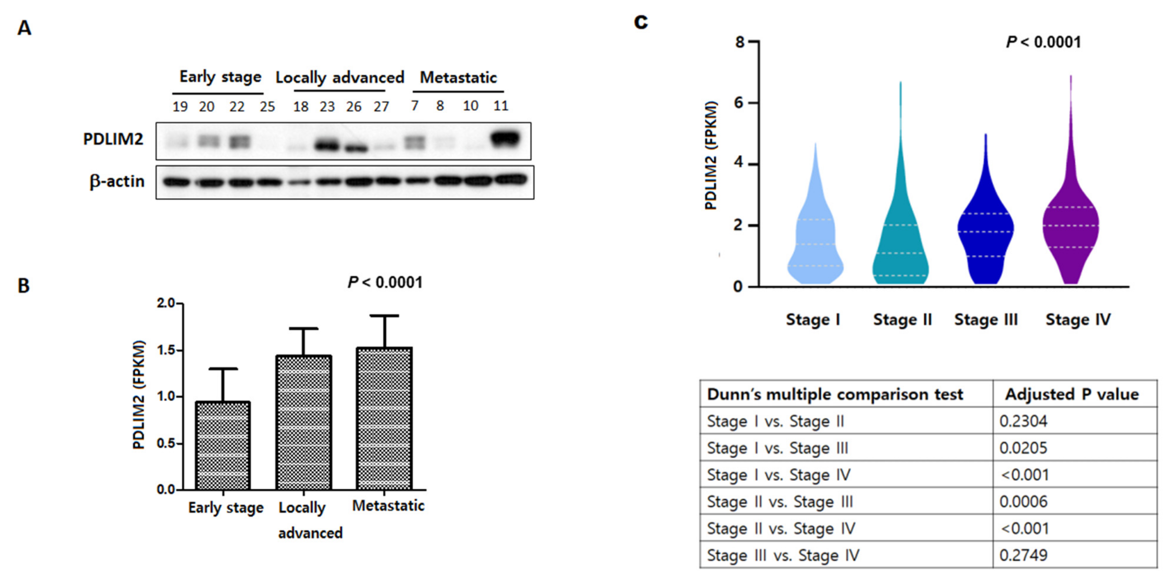 Cancers 13 02991 g001