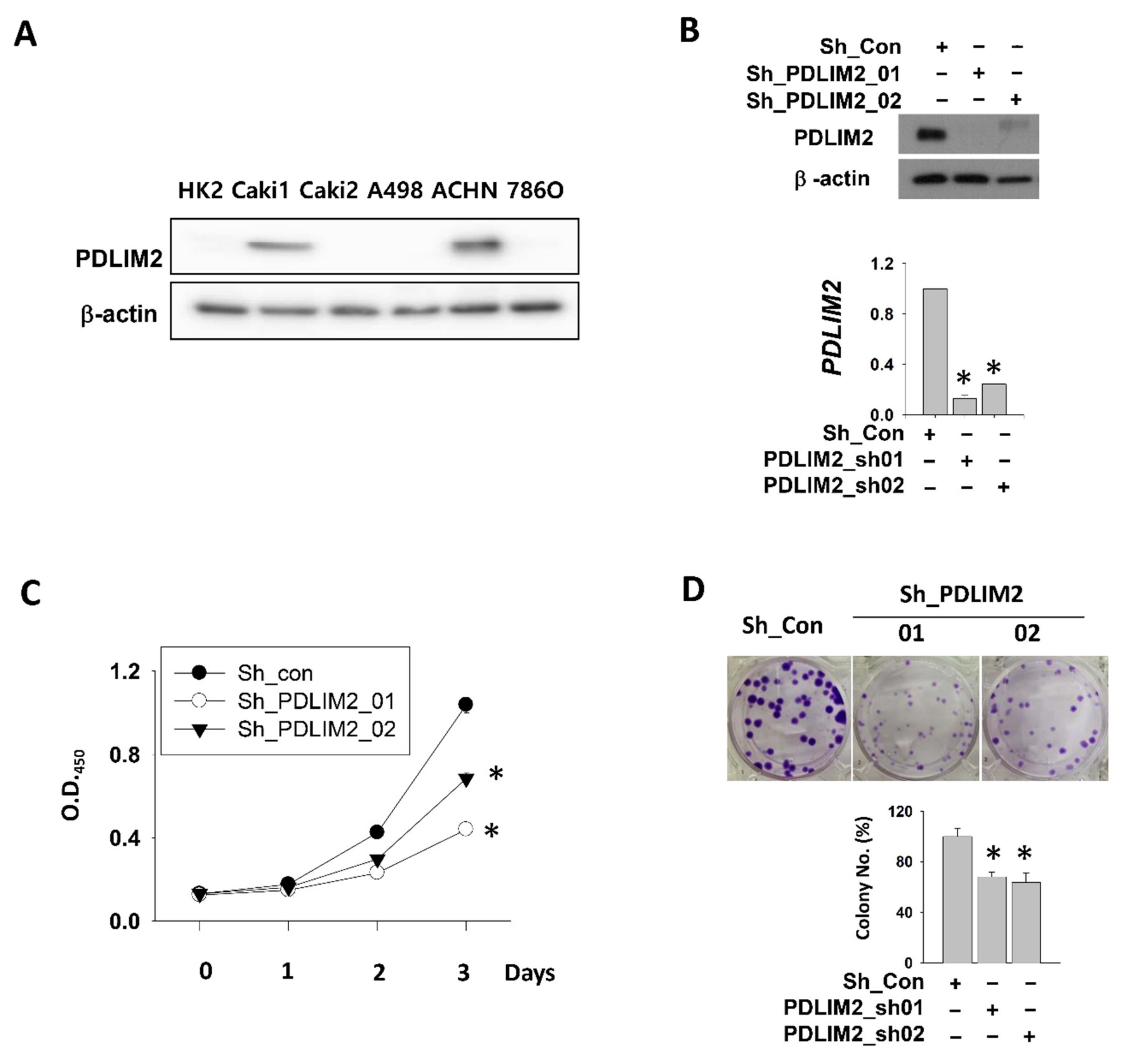 Cancers 13 02991 g002