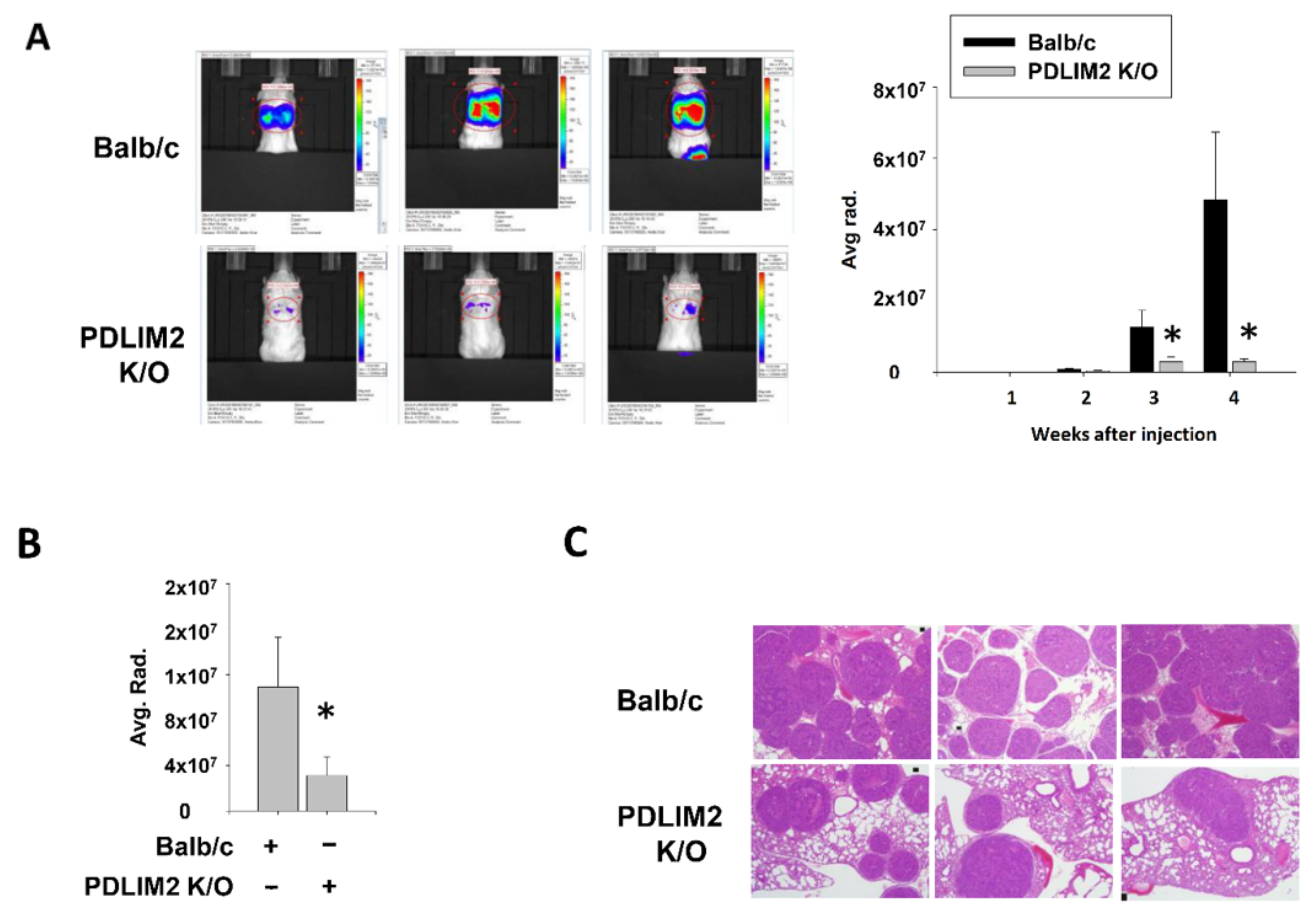 Cancers 13 02991 g006