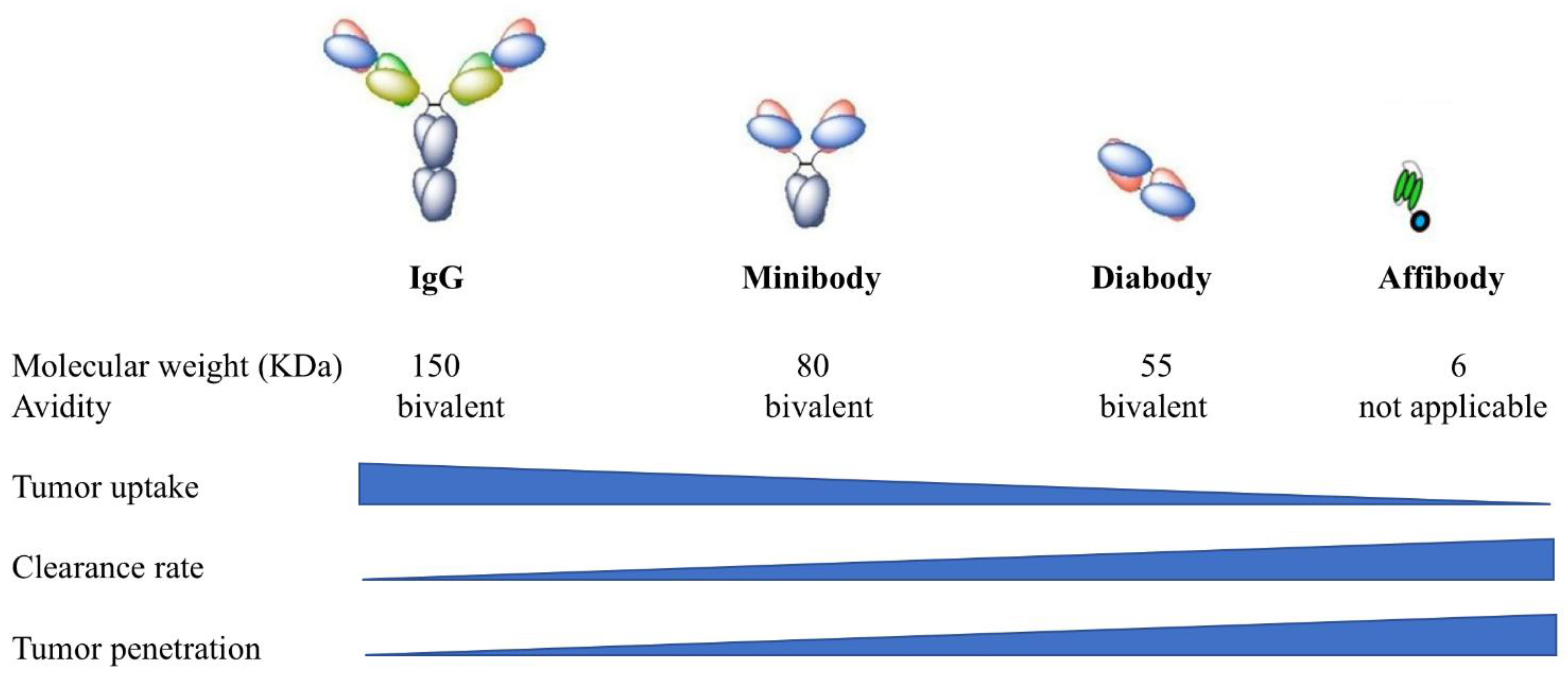 Cancers 13 02992 g004 Cancers 13 02992 g004