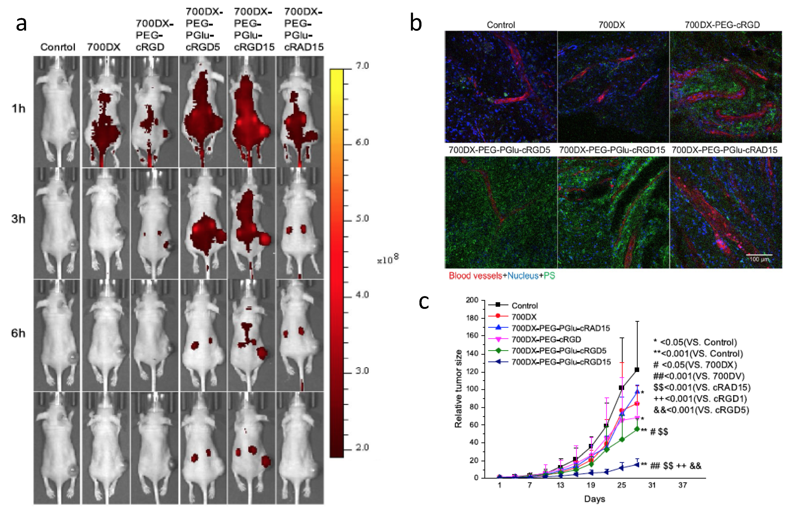 Cancers 13 02992 g007 Cancers 13 02992 g007