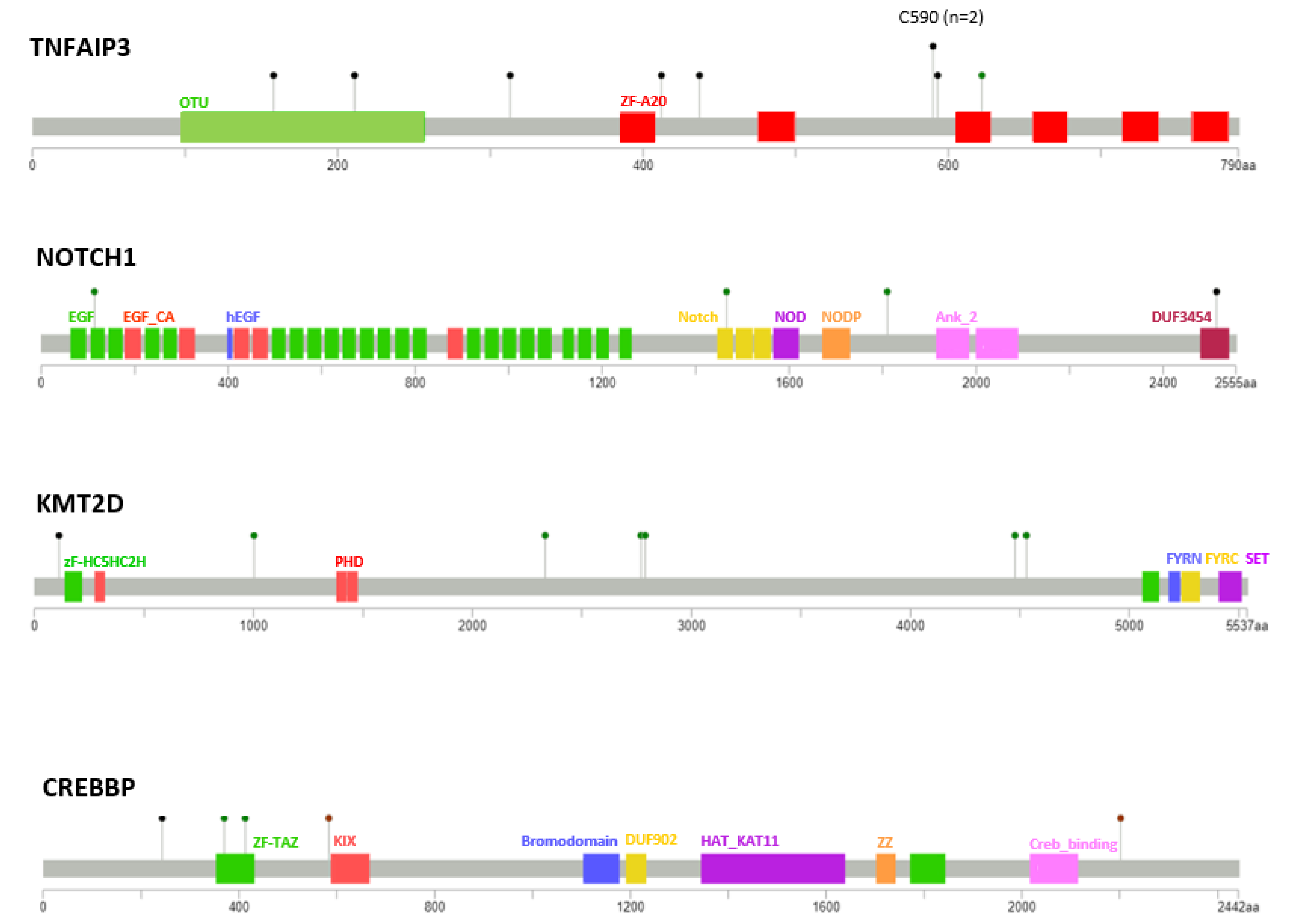 Cancers 13 02993 g002 Cancers 13 02993 g002