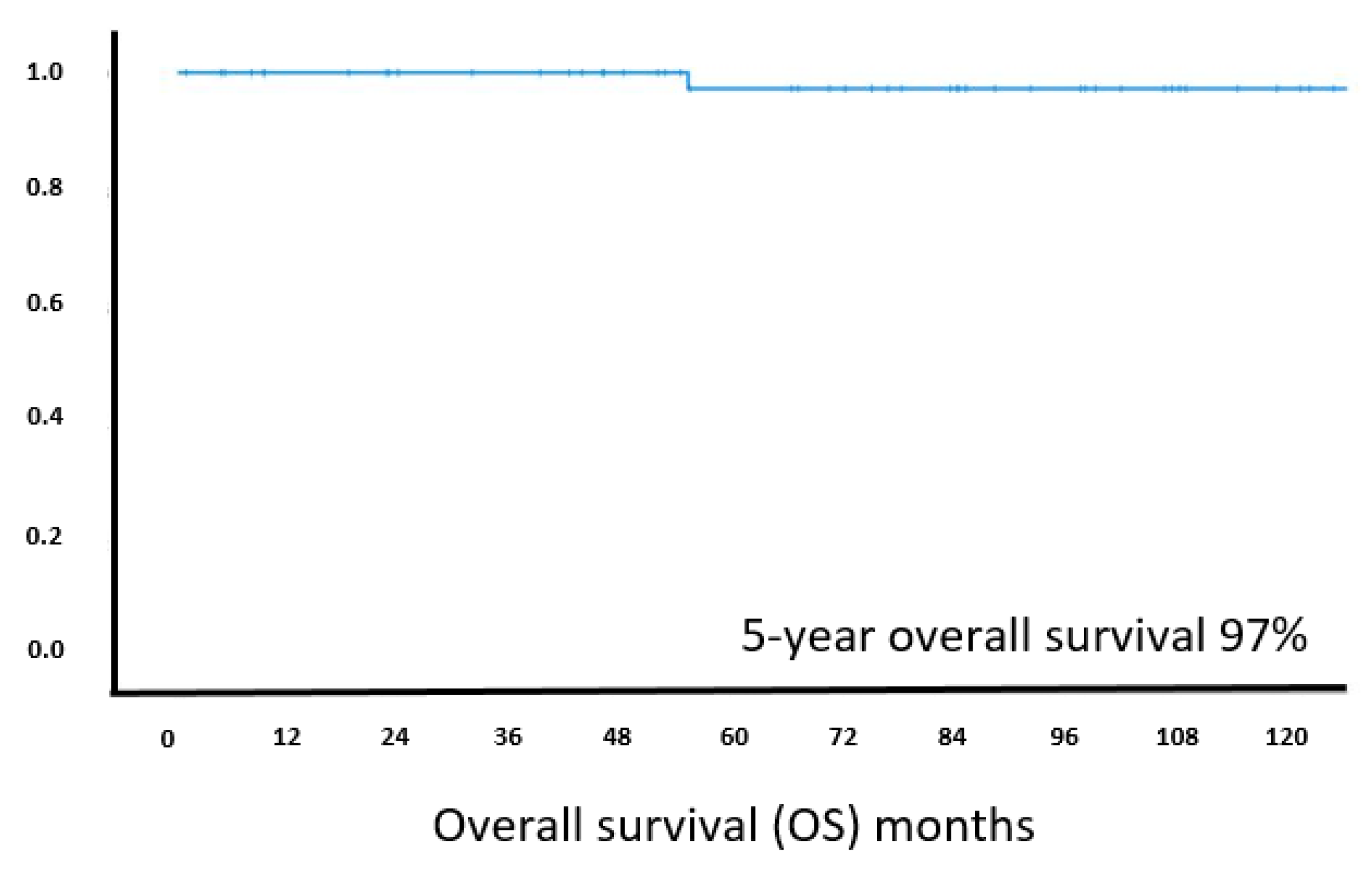 Cancers 13 02993 g005 Cancers 13 02993 g005