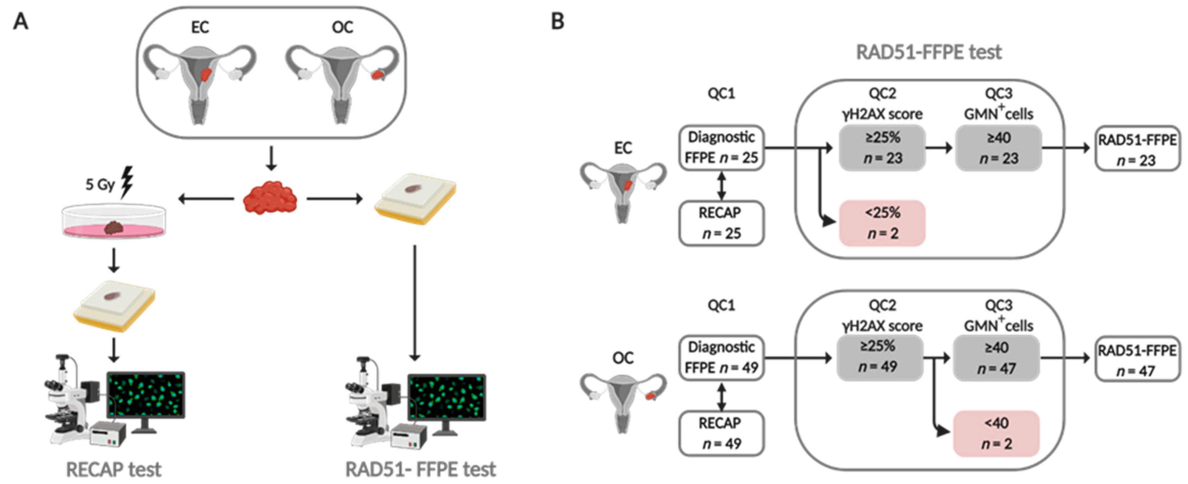 Cancers 13 02994 g001 Cancers 13 02994 g001