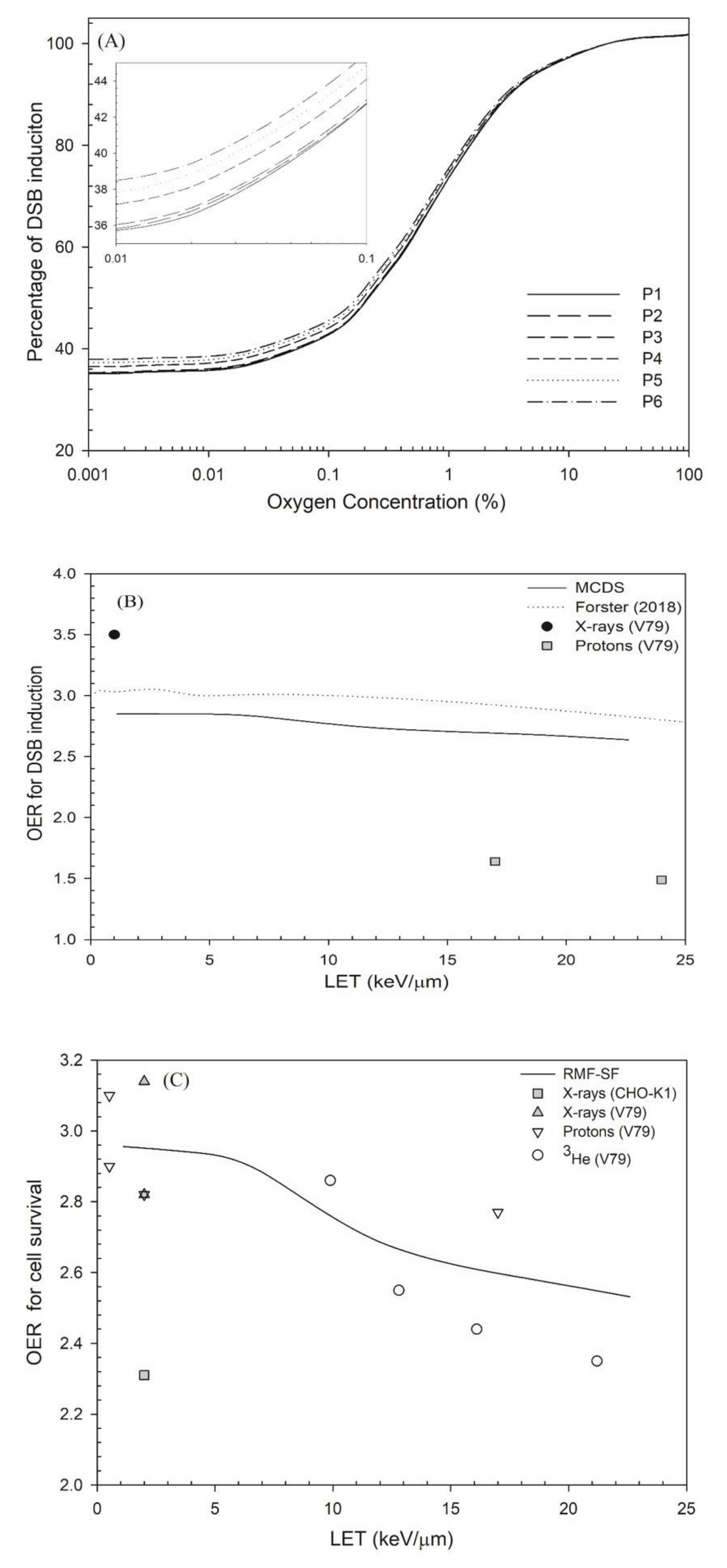 Cancers 13 02997 g002 Cancers 13 02997 g002