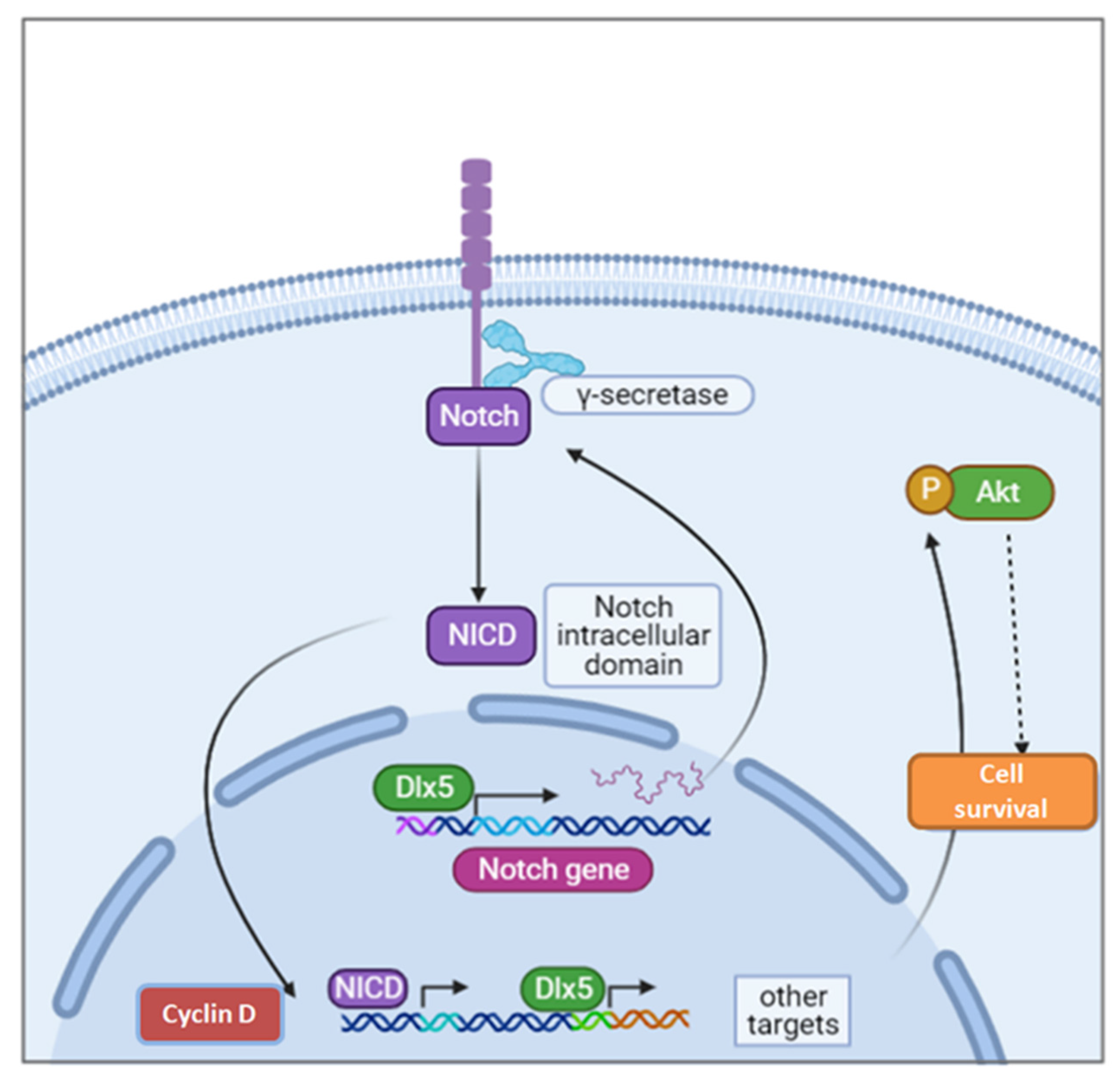 Cancers 13 03005 g005 Cancers 13 03005 g005
