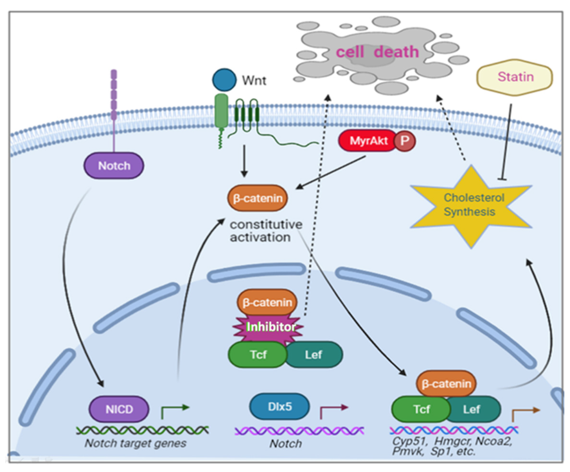 Cancers 13 03005 g007 Cancers 13 03005 g007