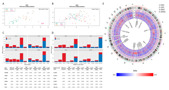 Cancers Free Full Text Upper Aerodigestive Tract Squamous Cell Carcinomas Show Distinct Overall Dna Methylation Profiles And Different Molecular Mechanisms Behind Wnt Signaling Disruption Html