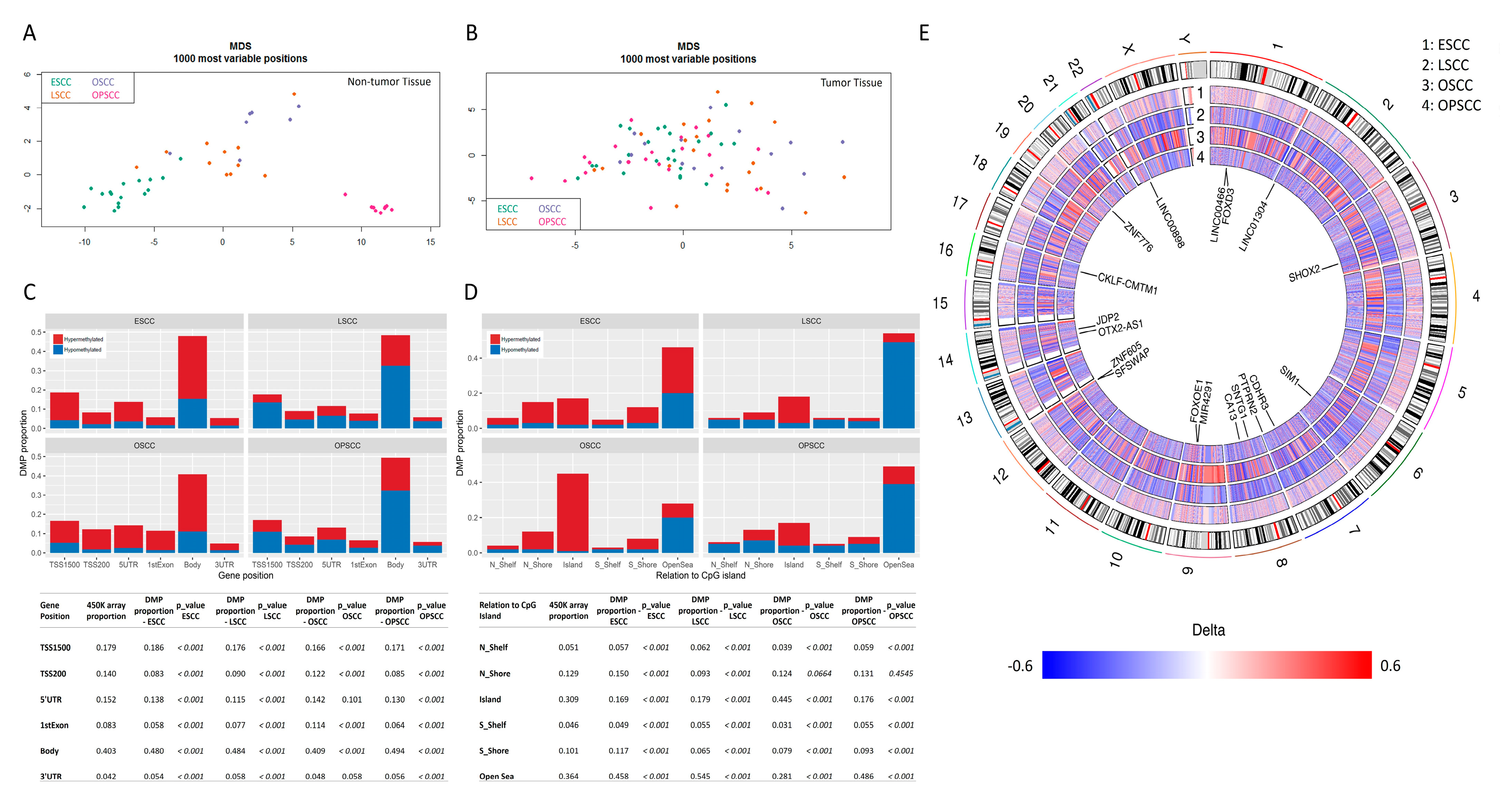 Cancers 13 03014 g001 Cancers 13 03014 g001