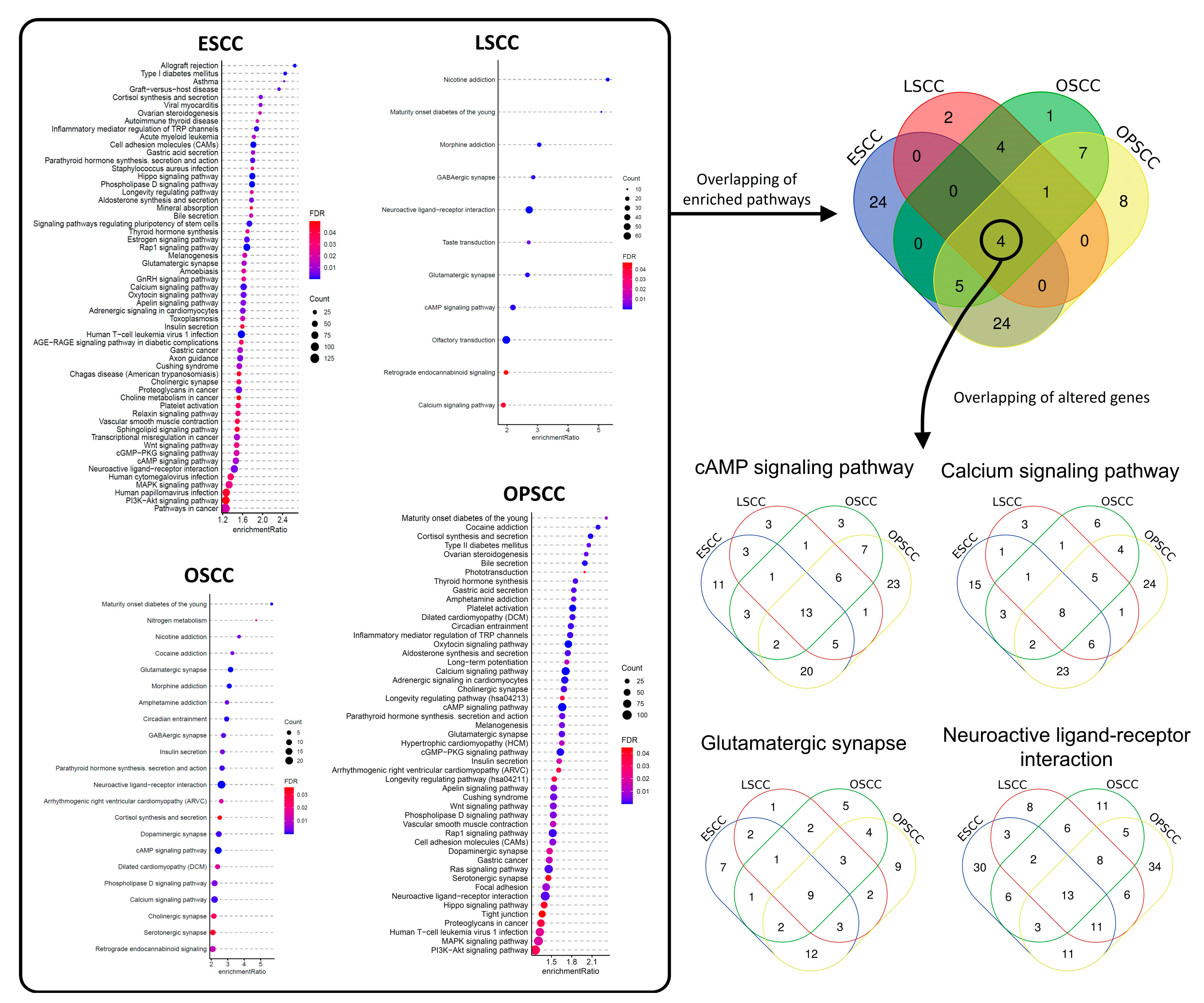 Cancers 13 03014 g002 Cancers 13 03014 g002