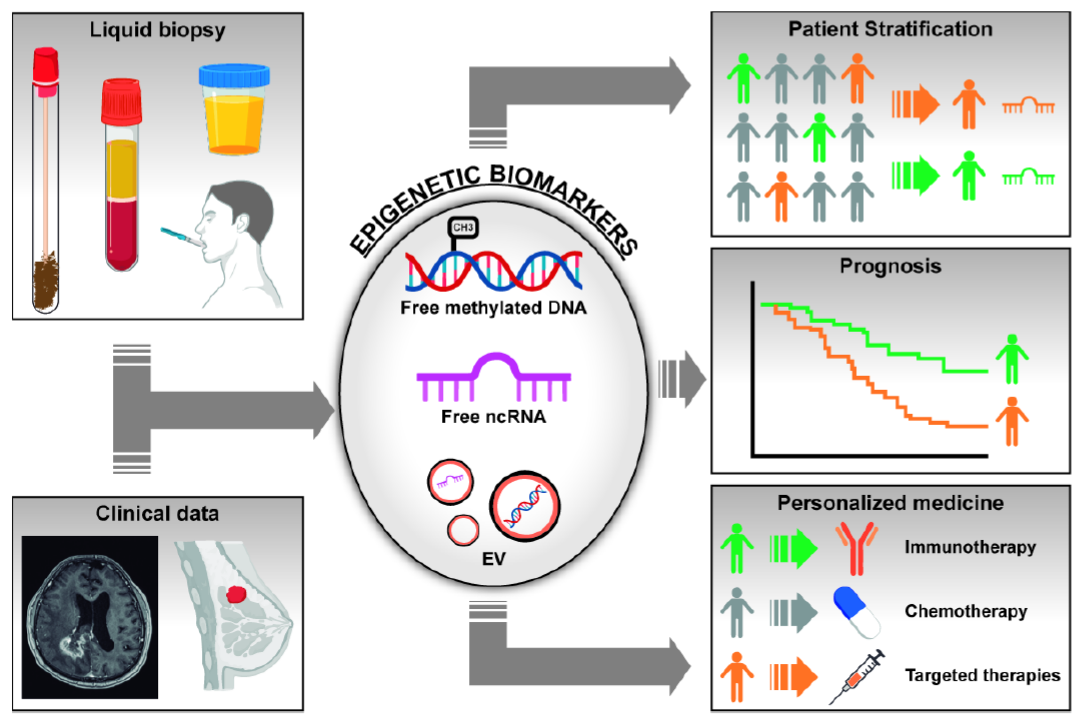 Cancers 13 03016 g001 Cancers 13 03016 g001