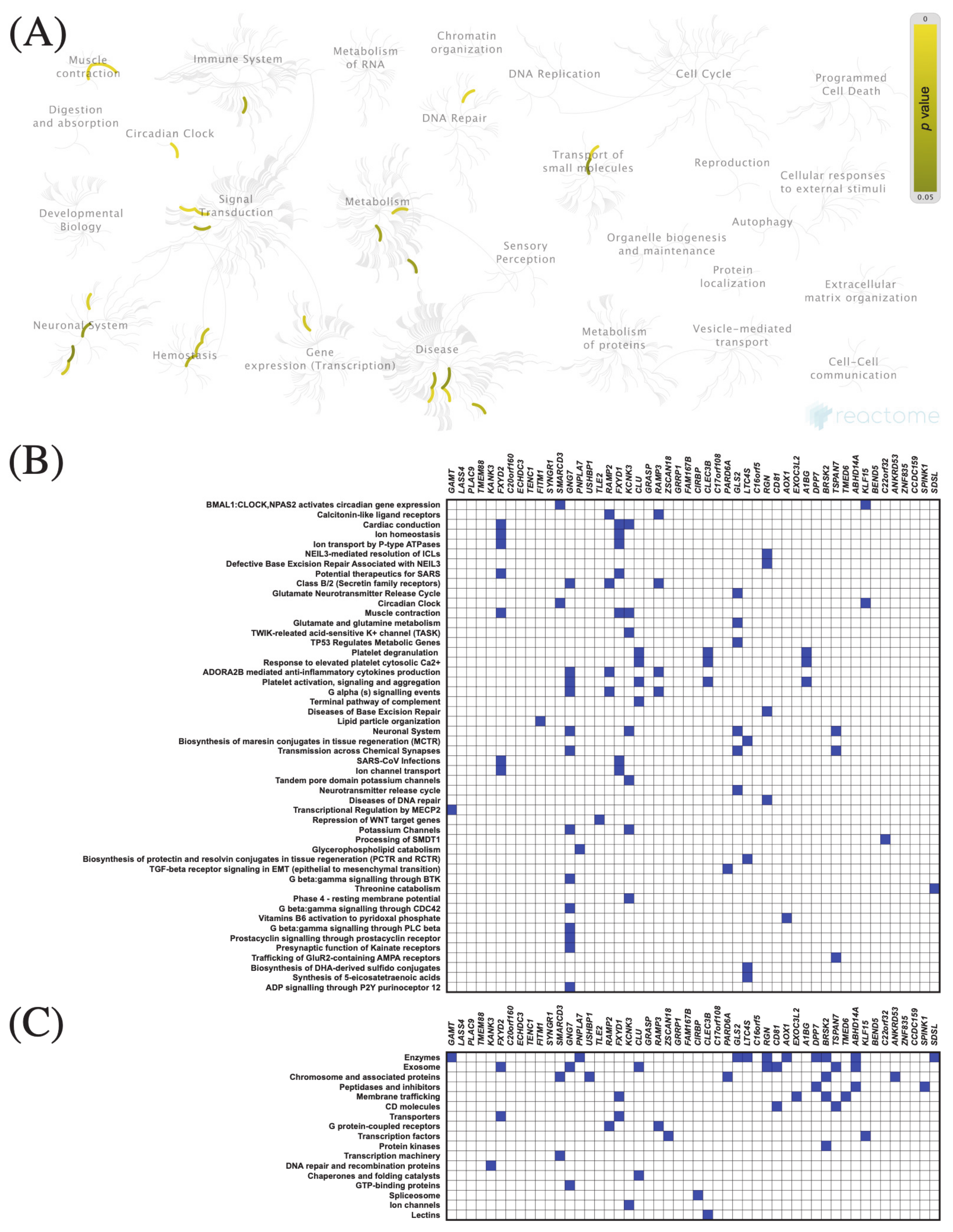 Cancers 13 03017 g008