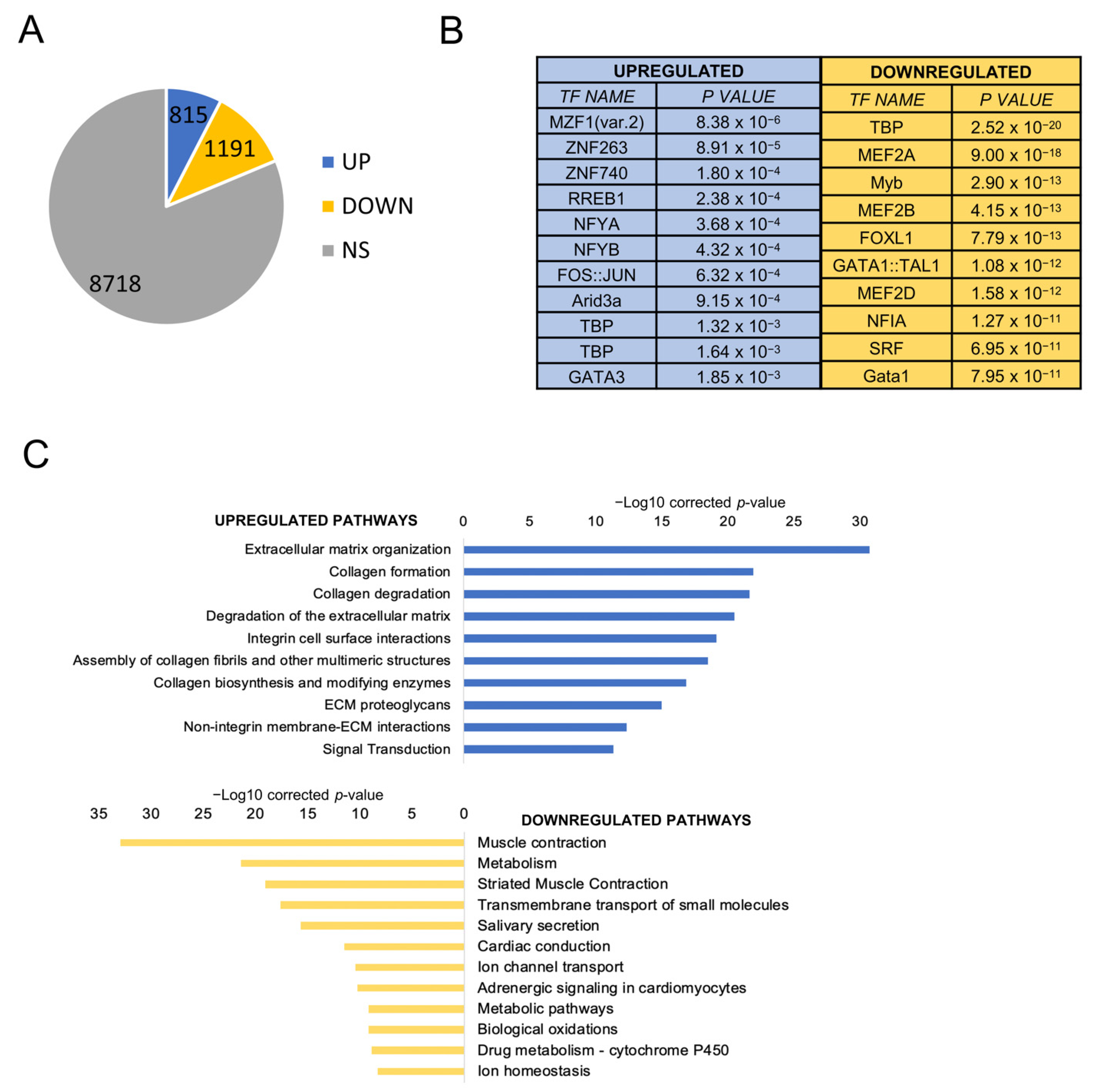Cancers 13 03019 g001 Cancers 13 03019 g001