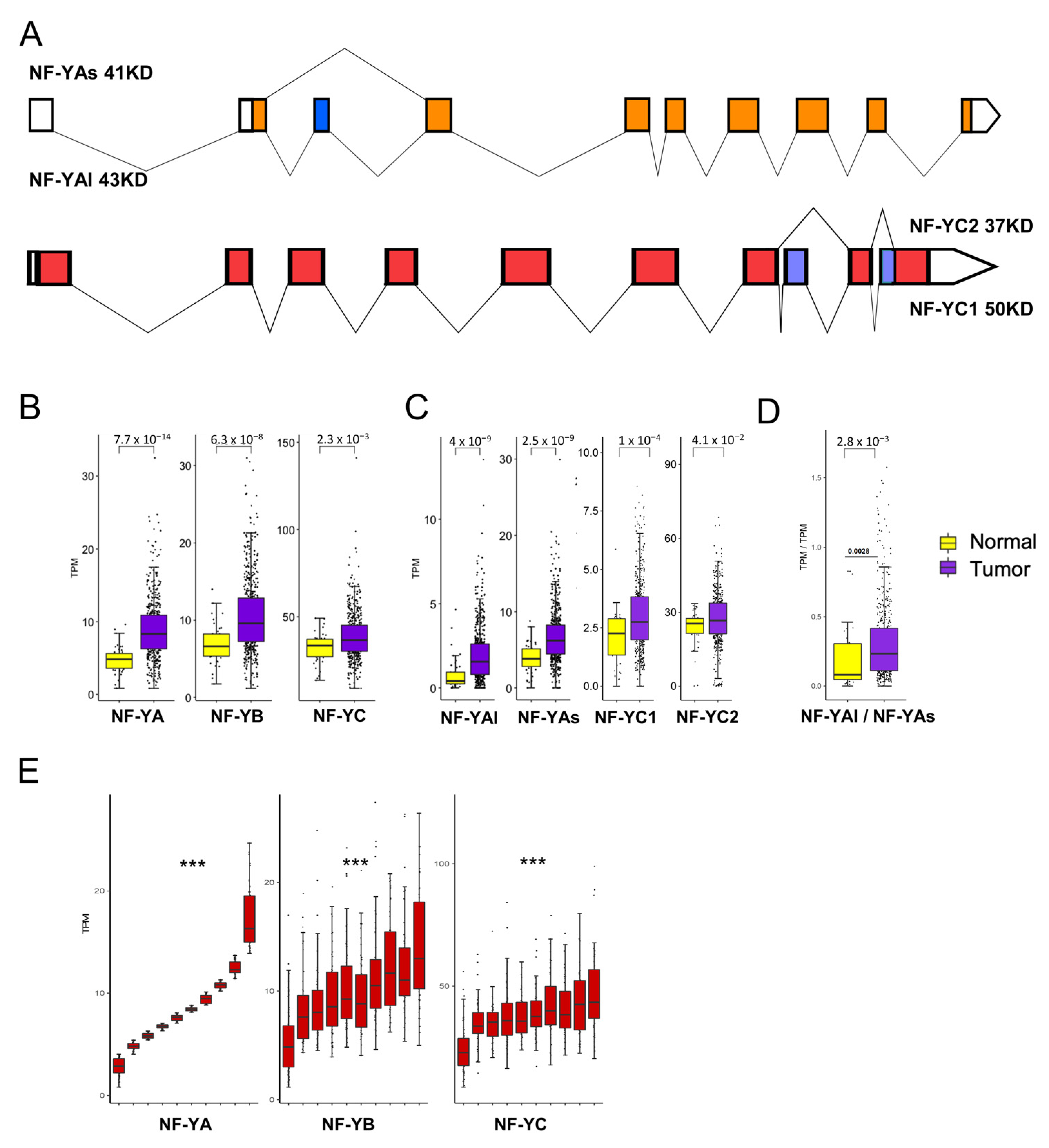 Cancers 13 03019 g002 Cancers 13 03019 g002
