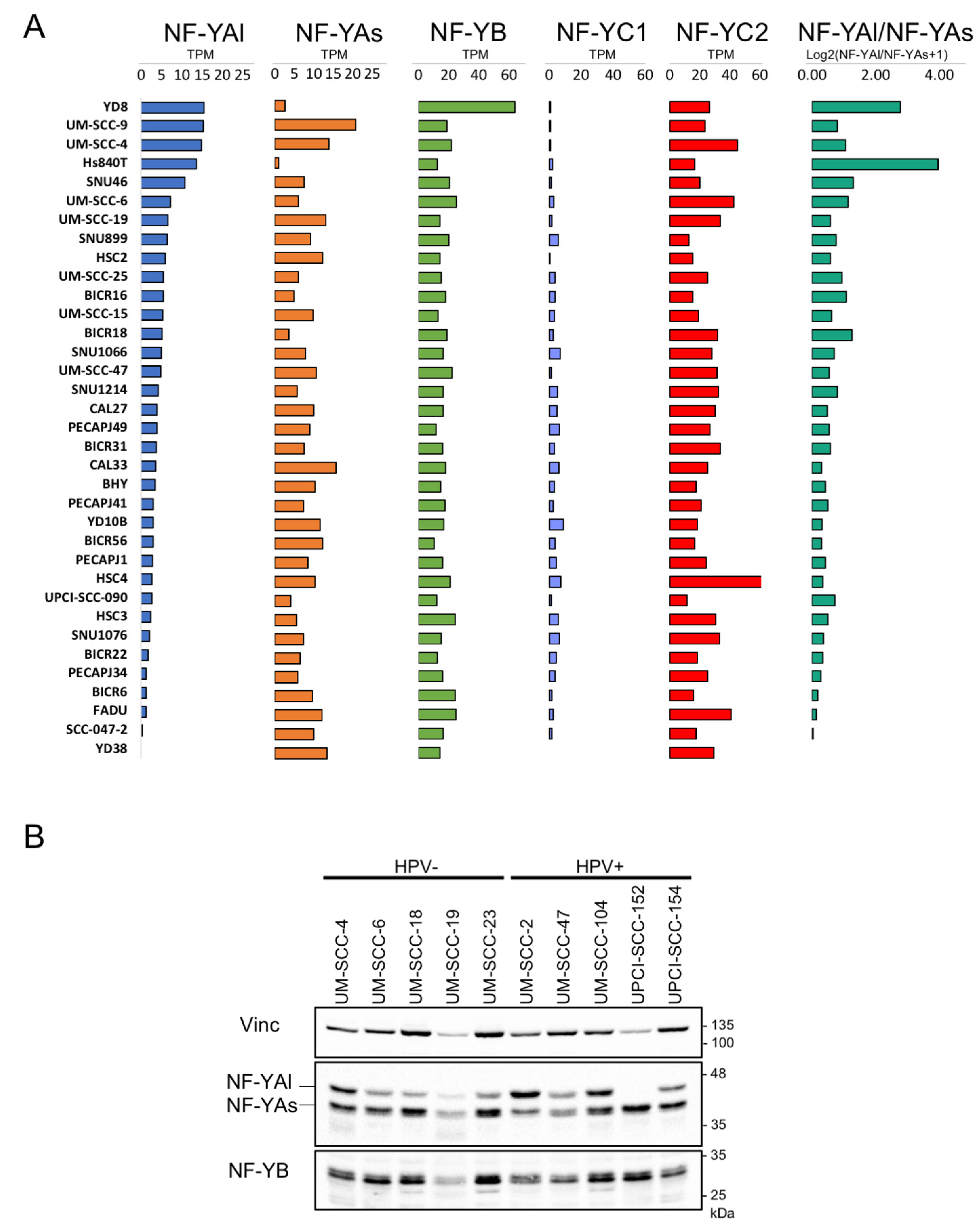 Cancers 13 03019 g003 Cancers 13 03019 g003