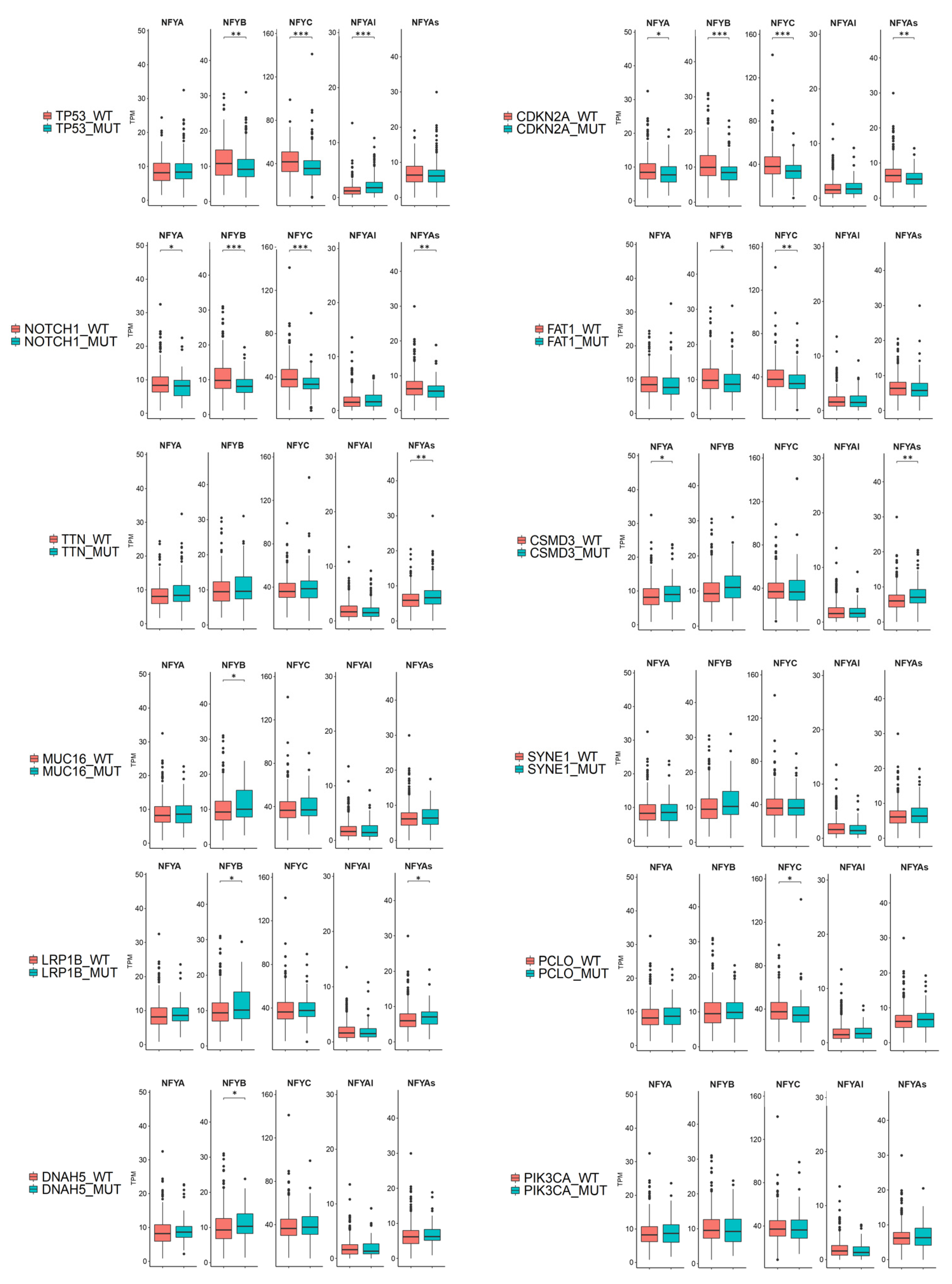 Cancers 13 03019 g004 Cancers 13 03019 g004