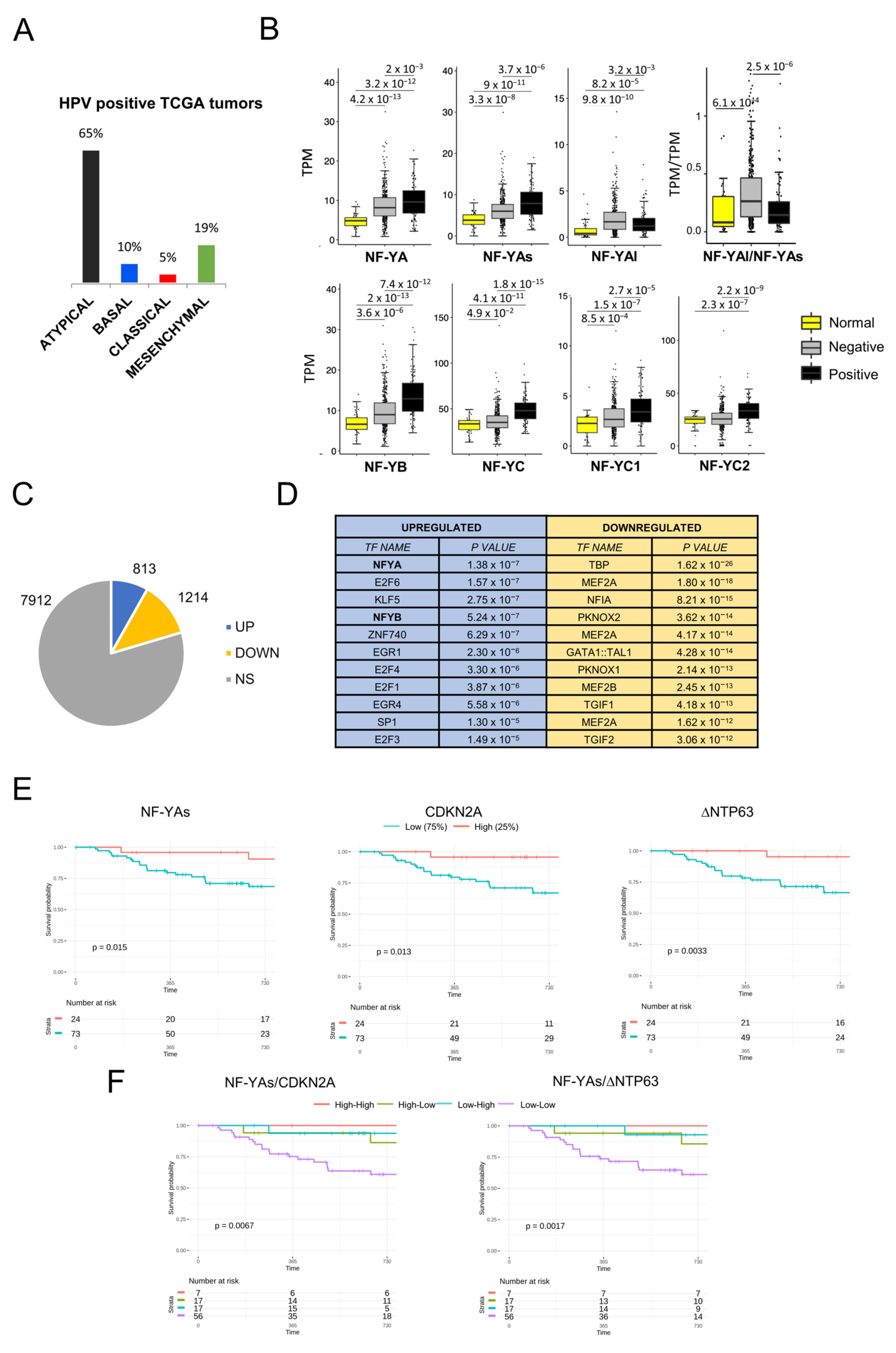 Cancers 13 03019 g006 Cancers 13 03019 g006