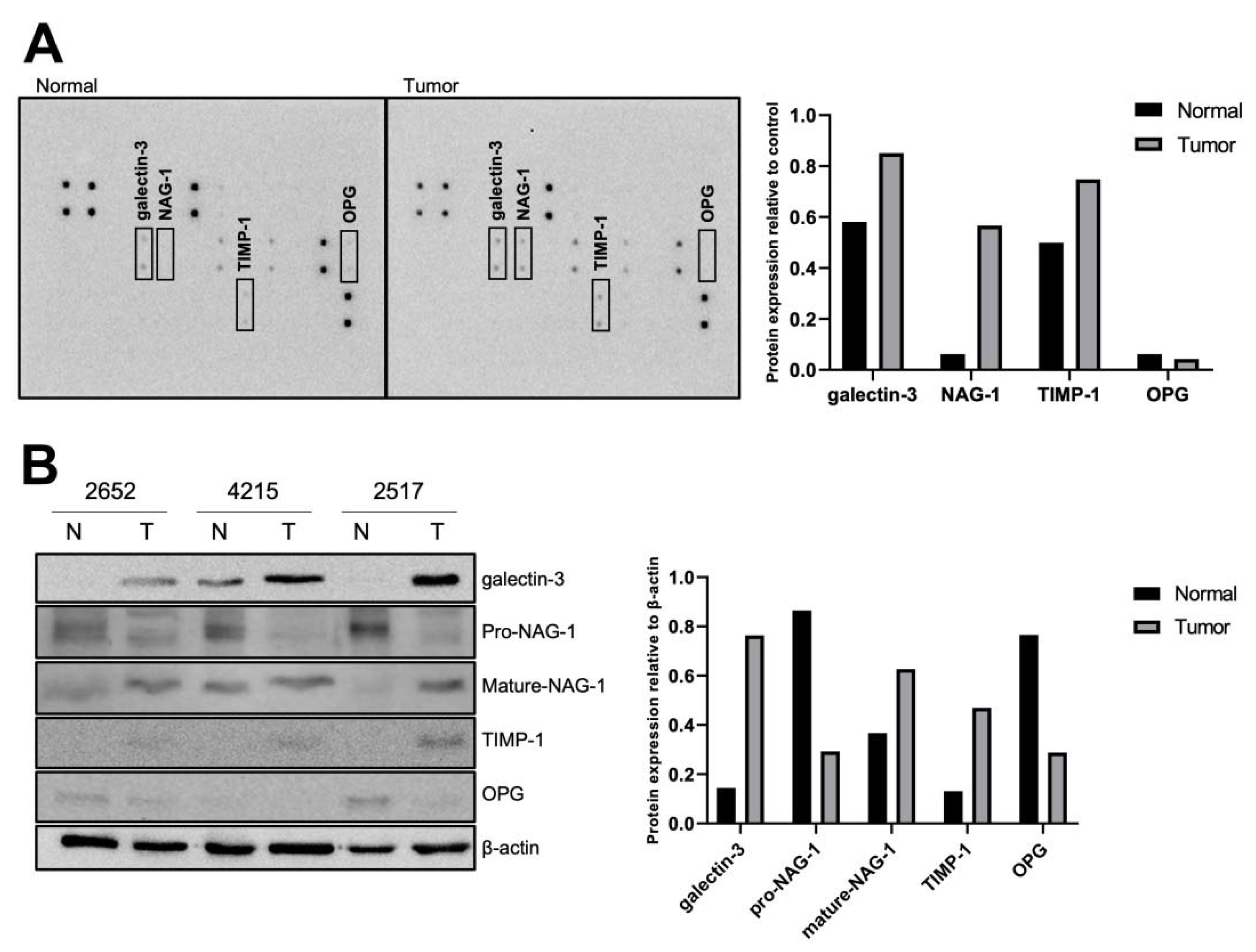 Cancers 13 03022 g001 Cancers 13 03022 g001