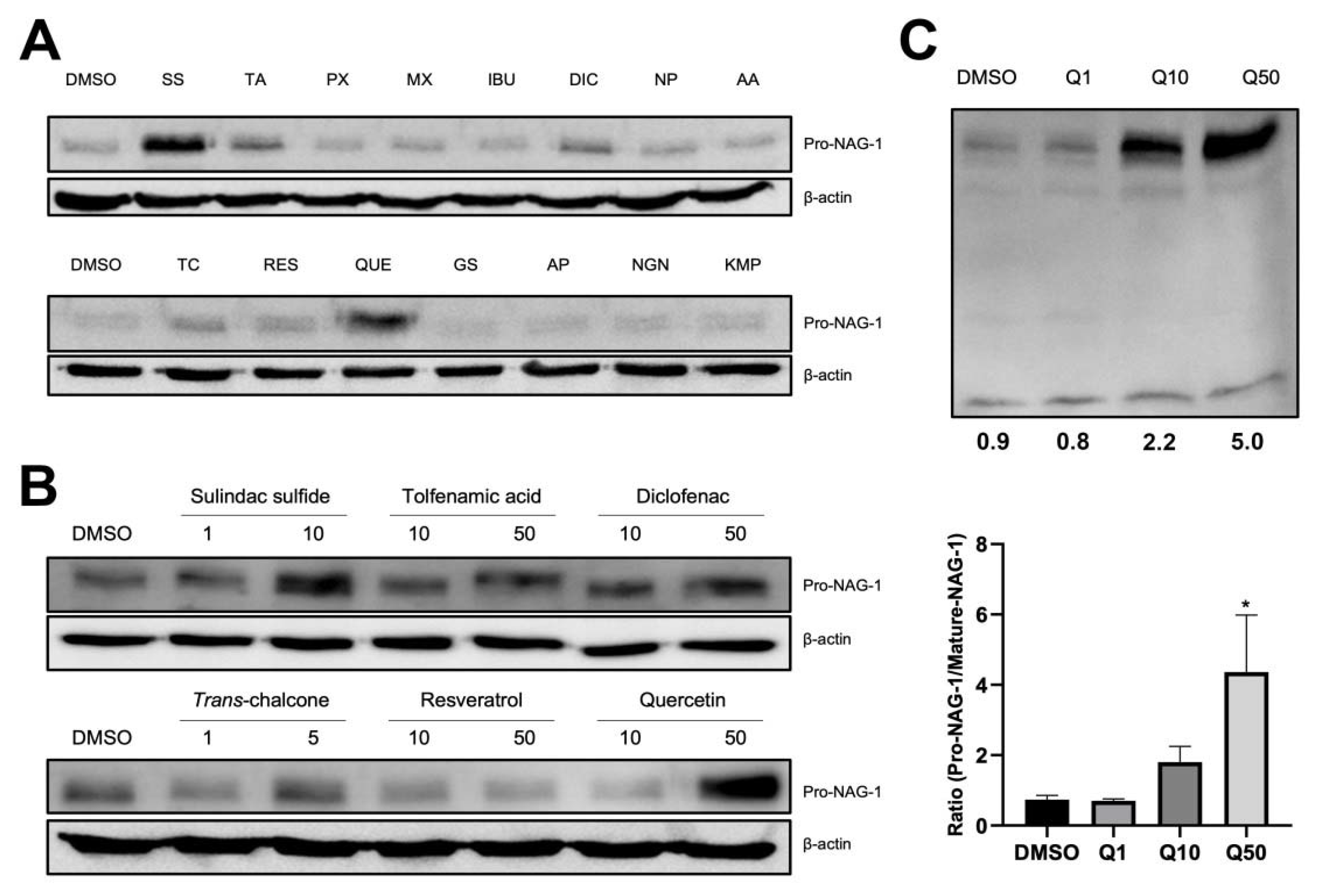 Cancers 13 03022 g003 Cancers 13 03022 g003