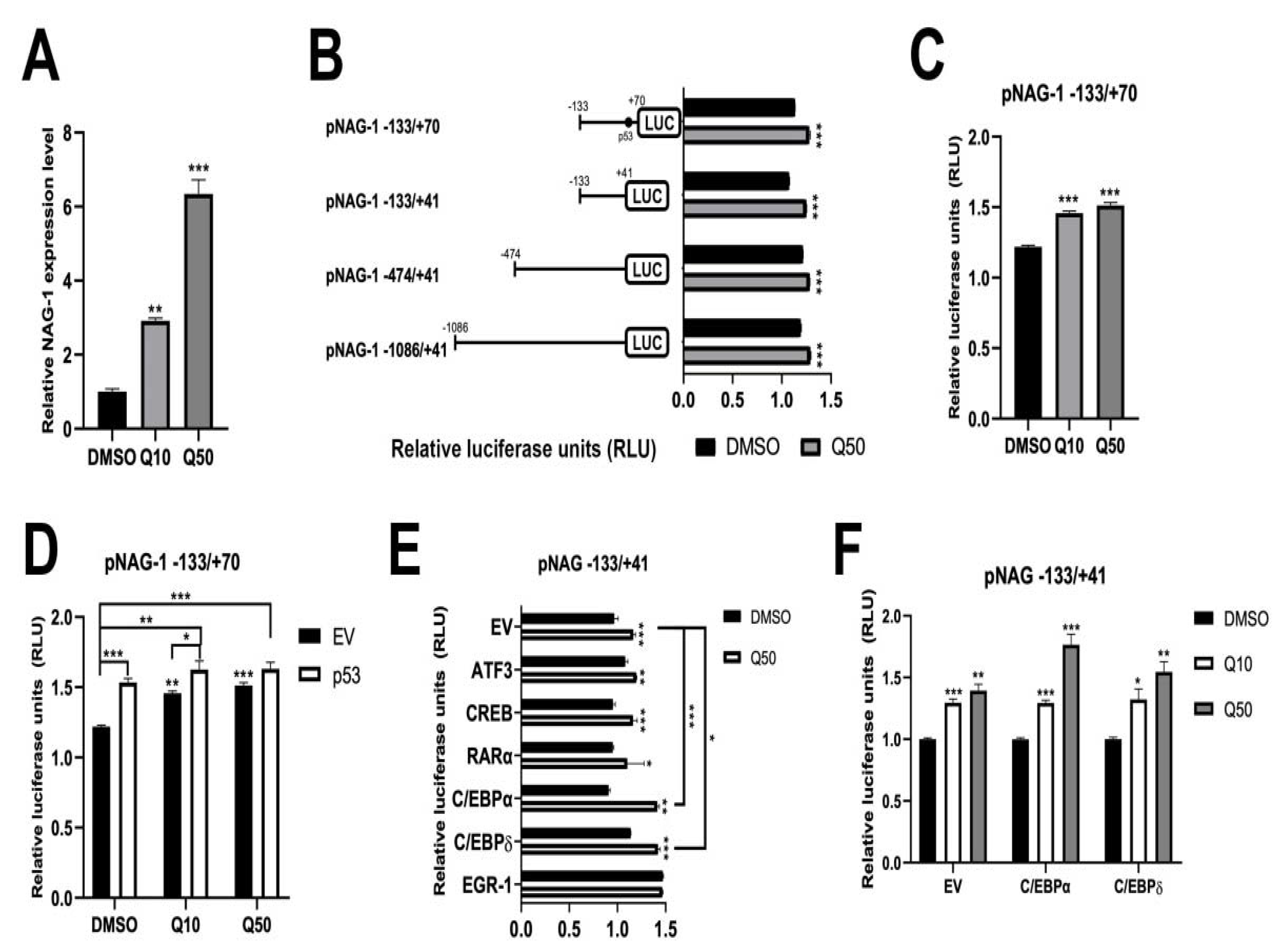 Cancers 13 03022 g005 Cancers 13 03022 g005