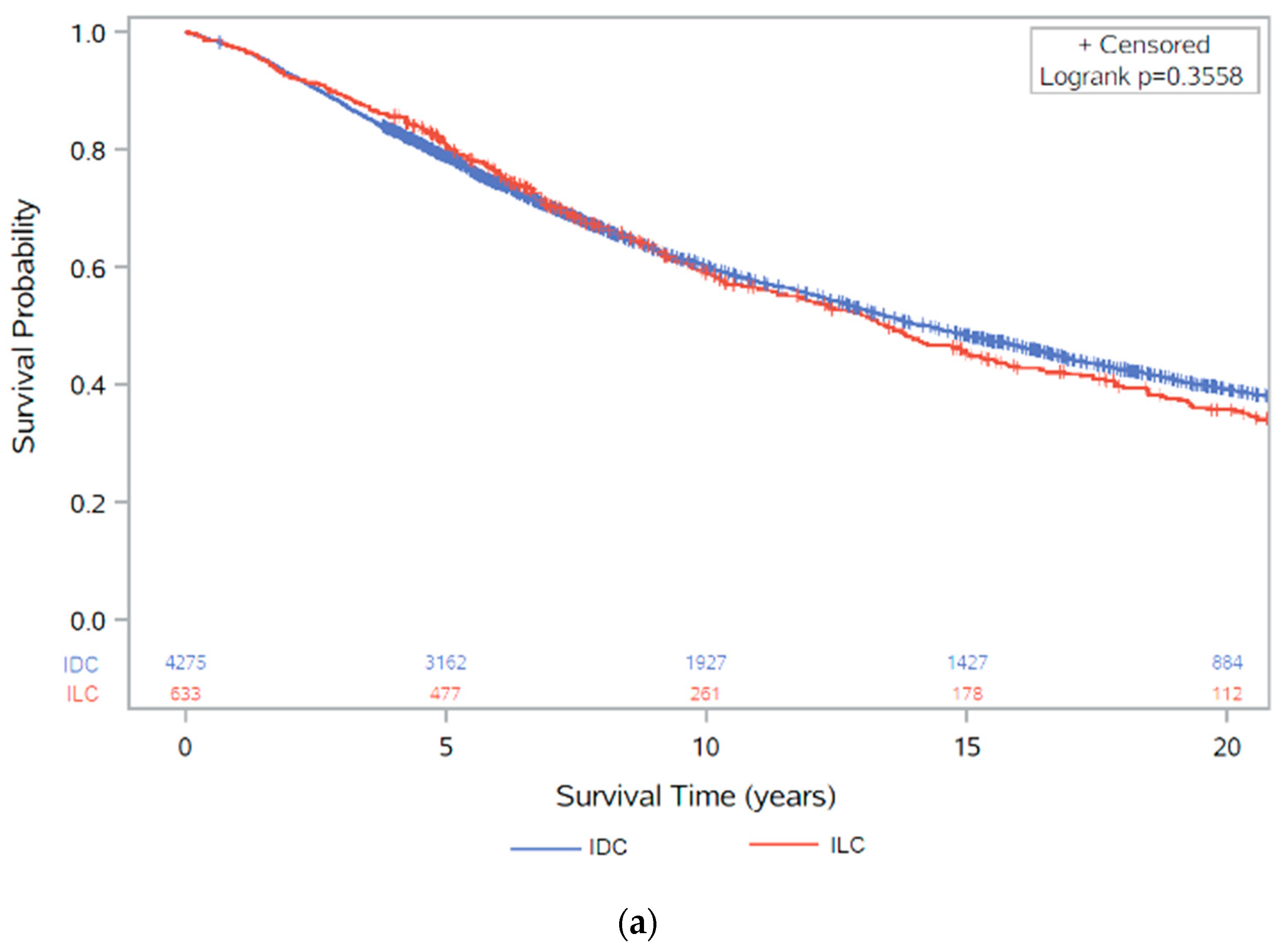 Cancers 13 03036 g002a Cancers 13 03036 g002a