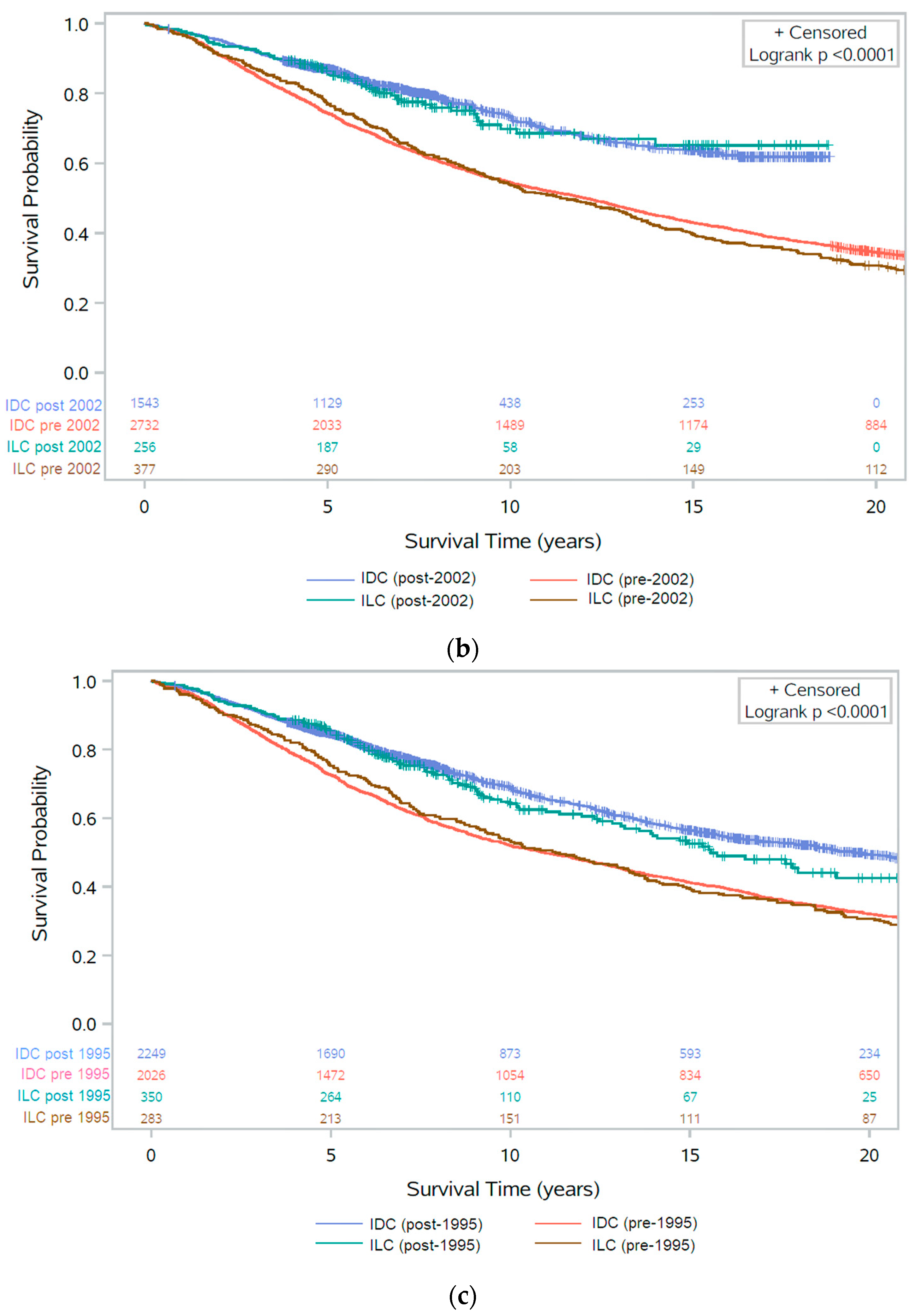 Cancers 13 03036 g002b Cancers 13 03036 g002b