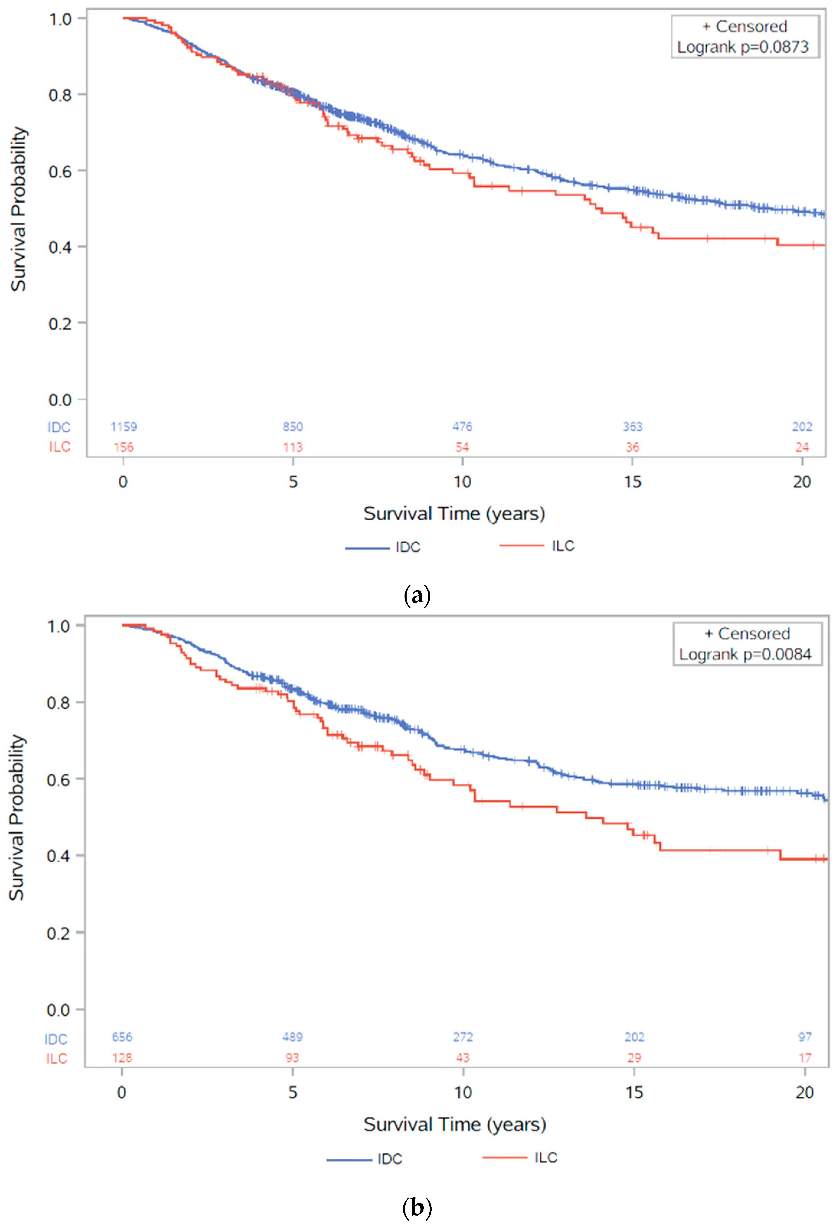 Cancers 13 03036 g003a Cancers 13 03036 g003a