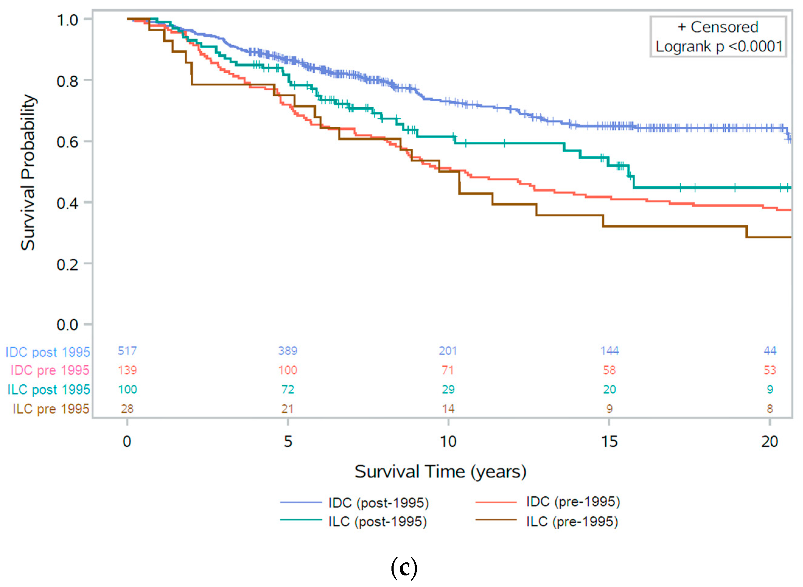 Cancers 13 03036 g003b Cancers 13 03036 g003b