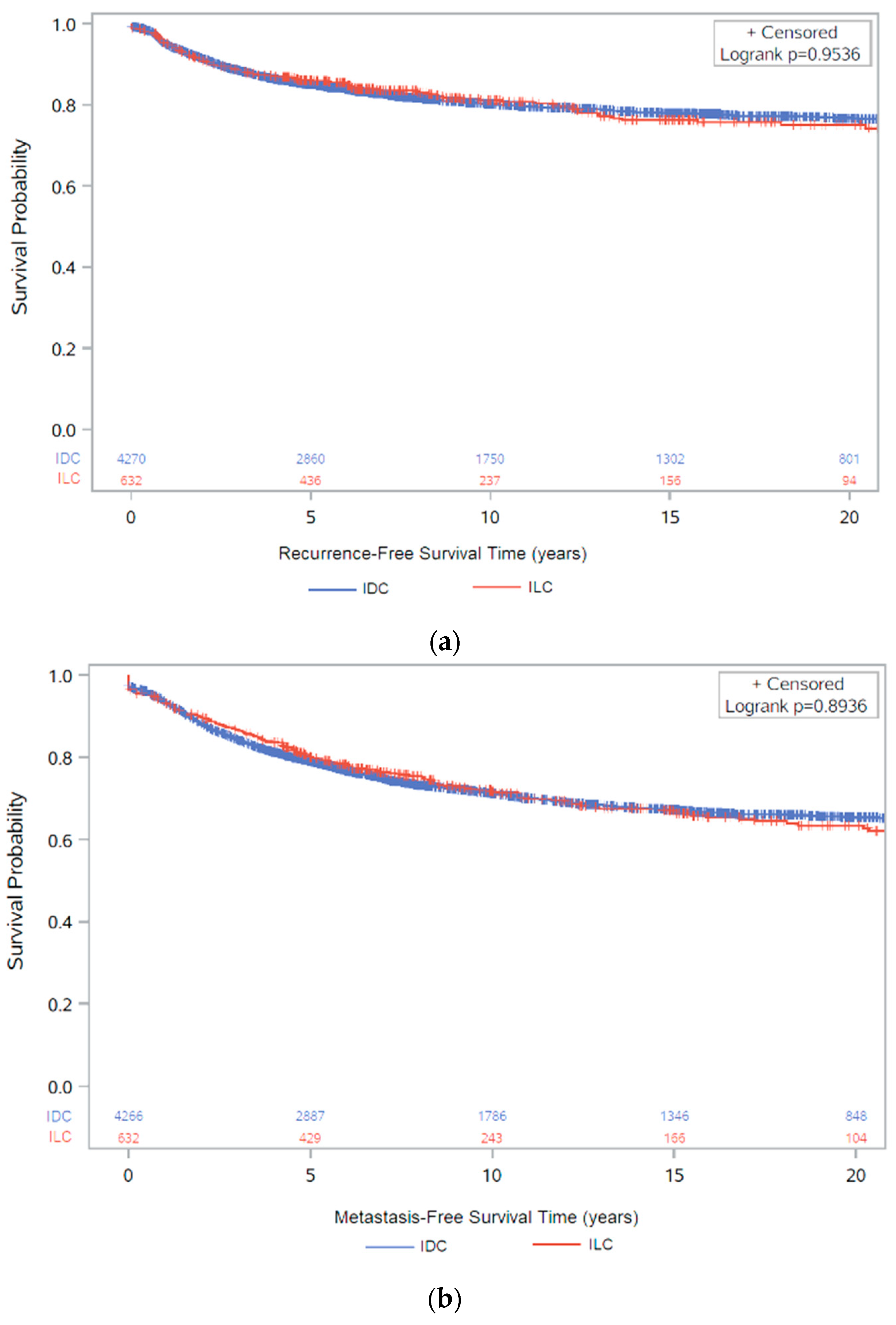 Cancers 13 03036 g004 Cancers 13 03036 g004