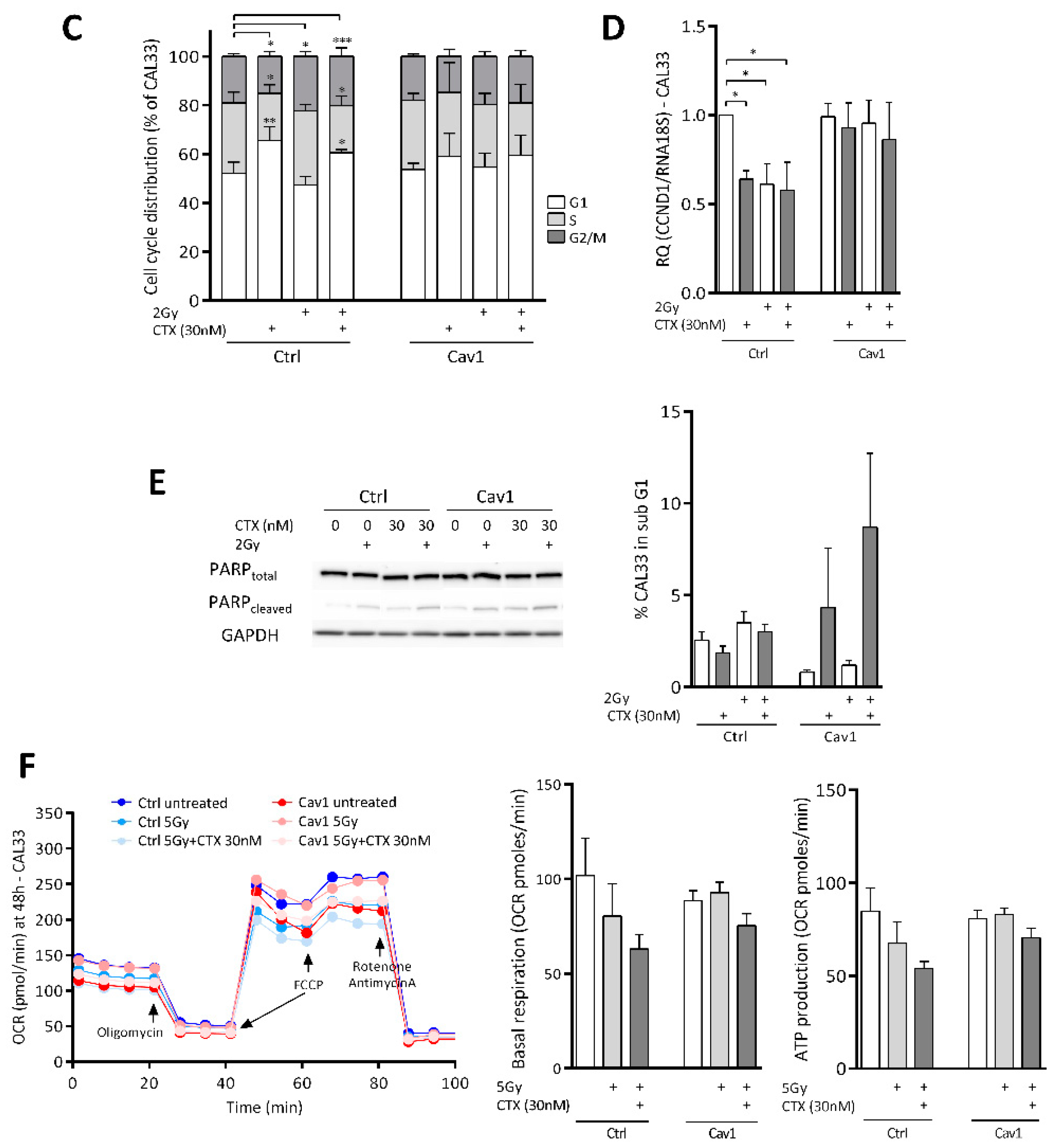 Cancers 13 03038 g002b Cancers 13 03038 g002b