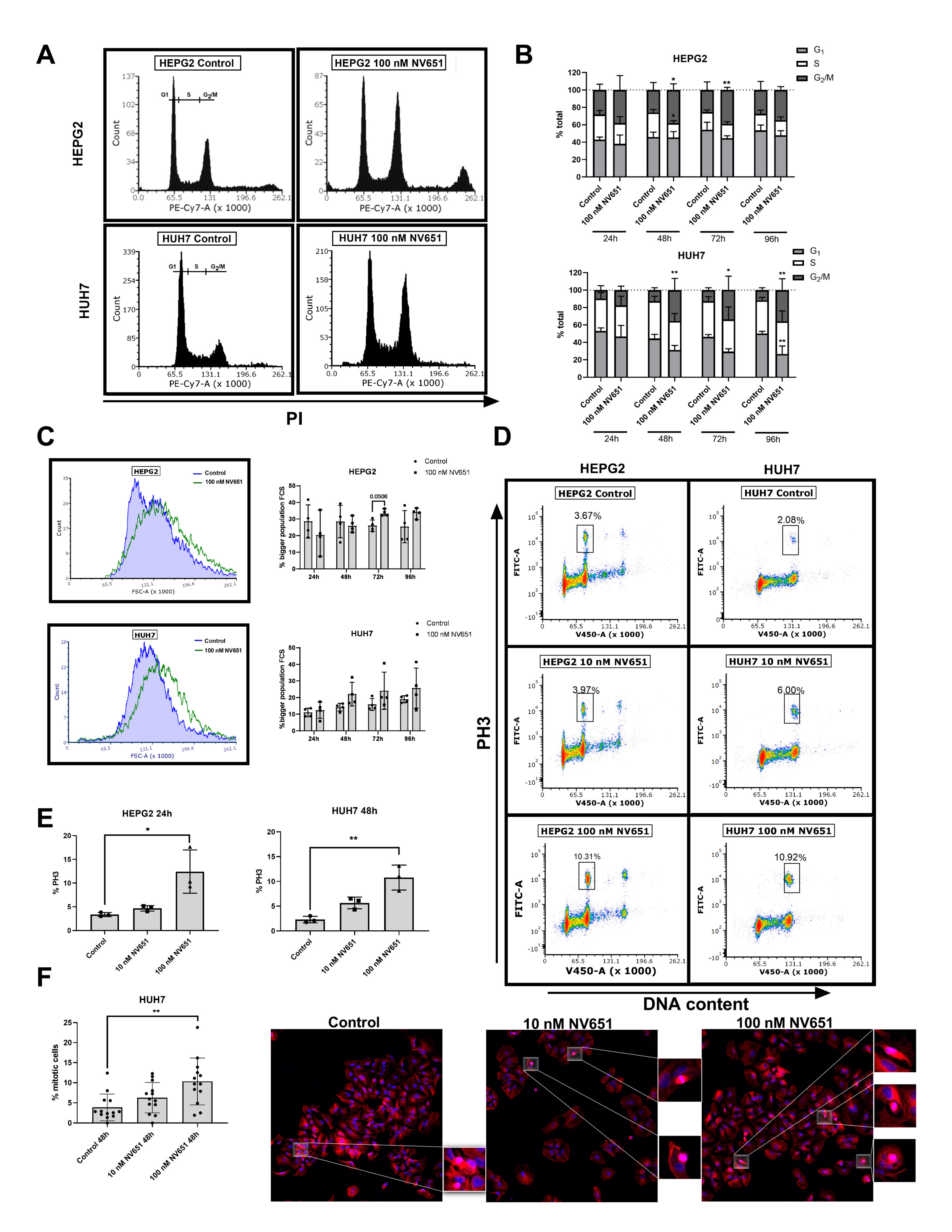 Cancers 13 03041 g006 Cancers 13 03041 g006