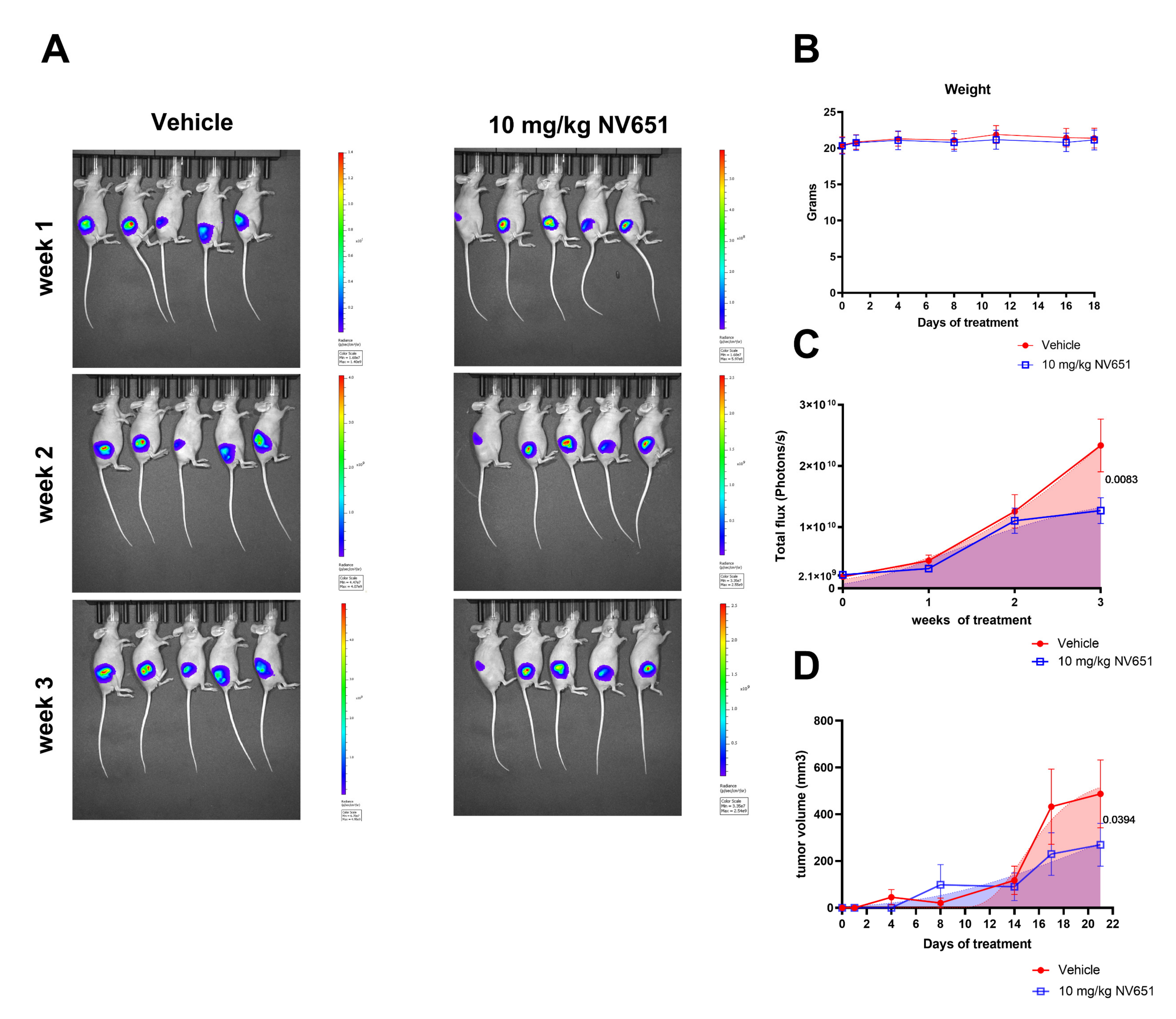 Cancers 13 03041 g007 Cancers 13 03041 g007
