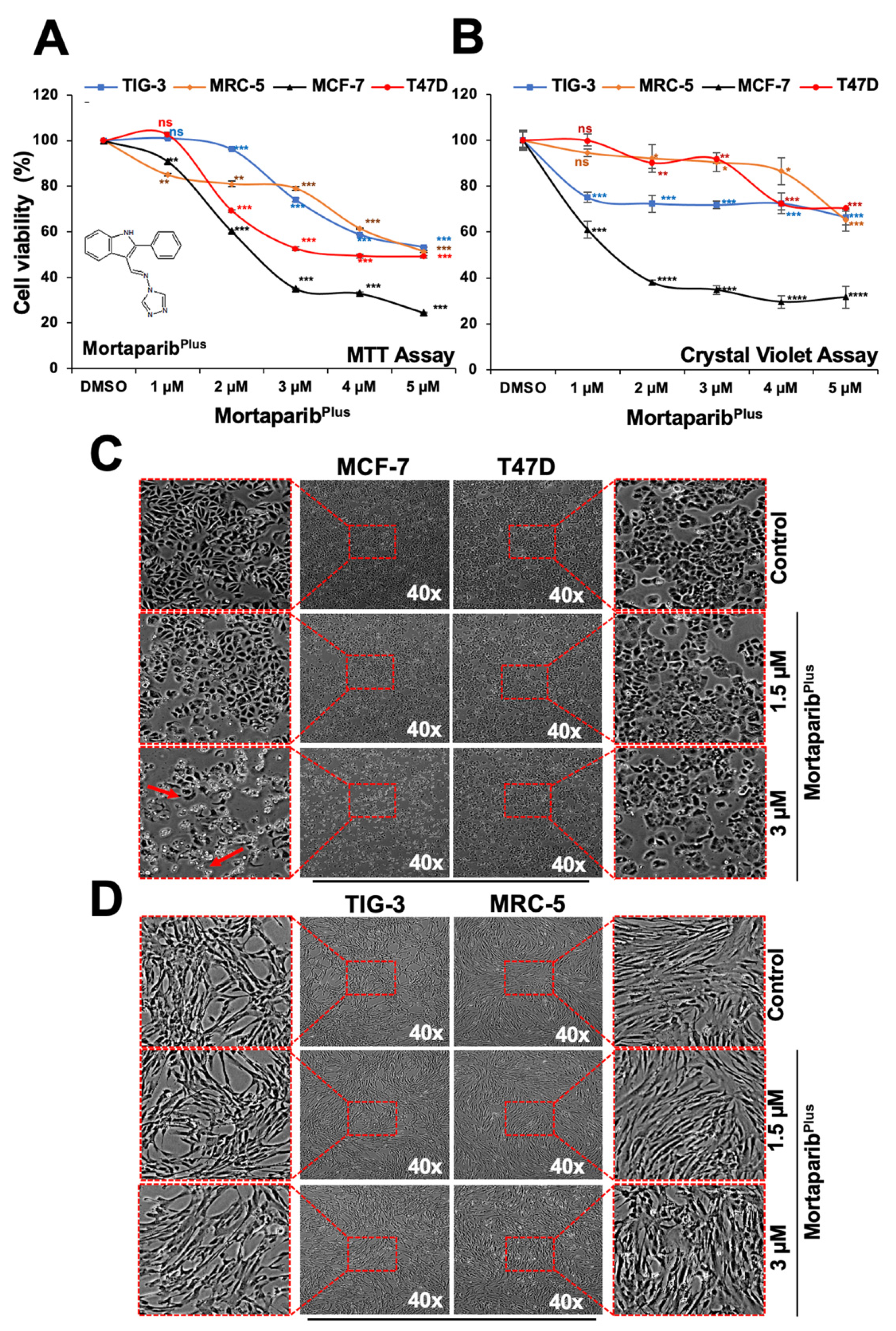 Cancers 13 03043 g001 Cancers 13 03043 g001