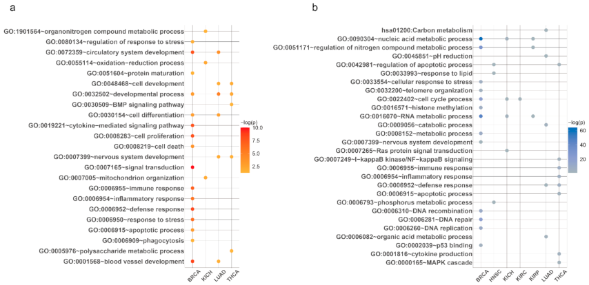 Cancers 13 03045 g0a1 Cancers 13 03045 g0a1