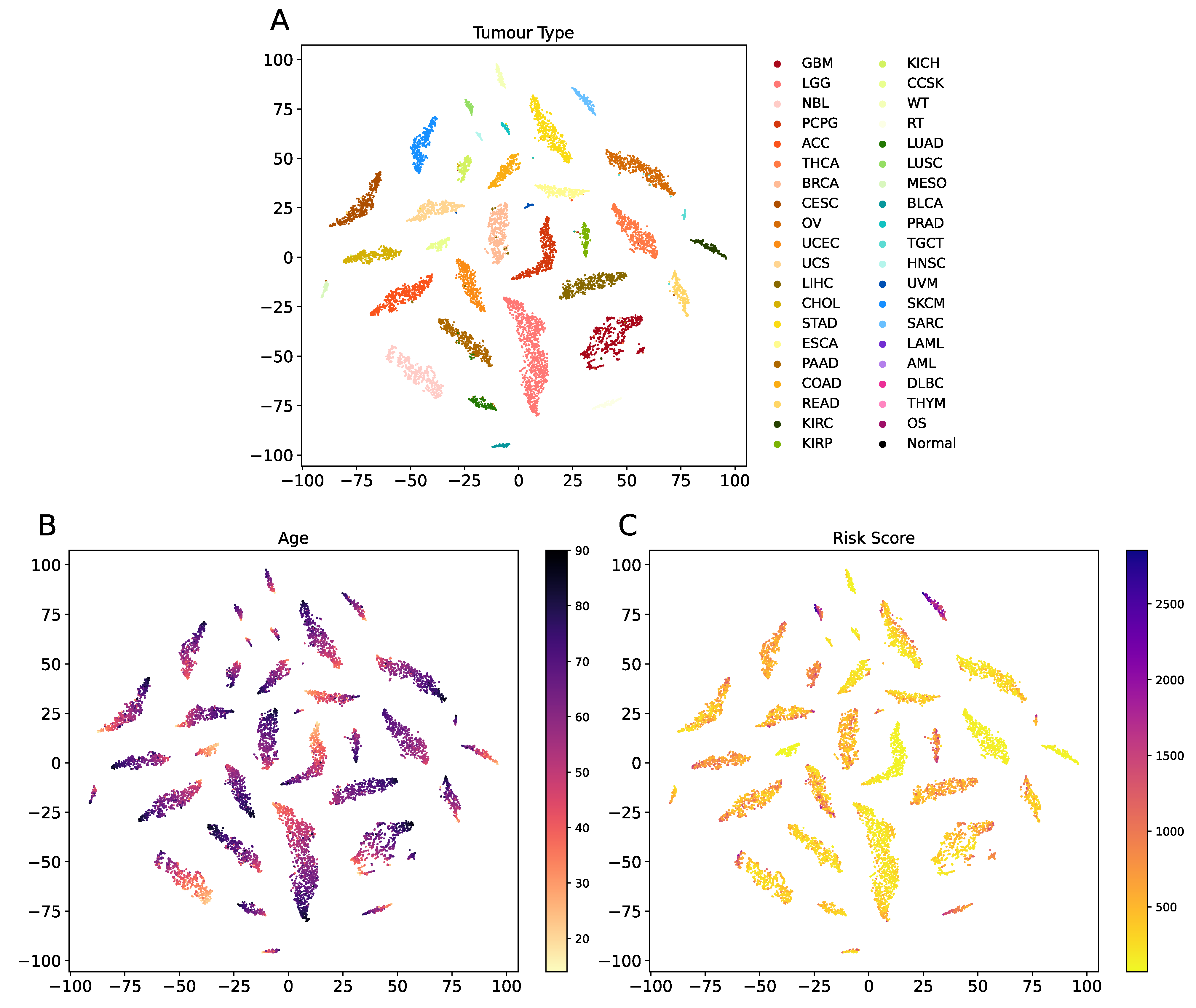 Cancers 13 03047 g008