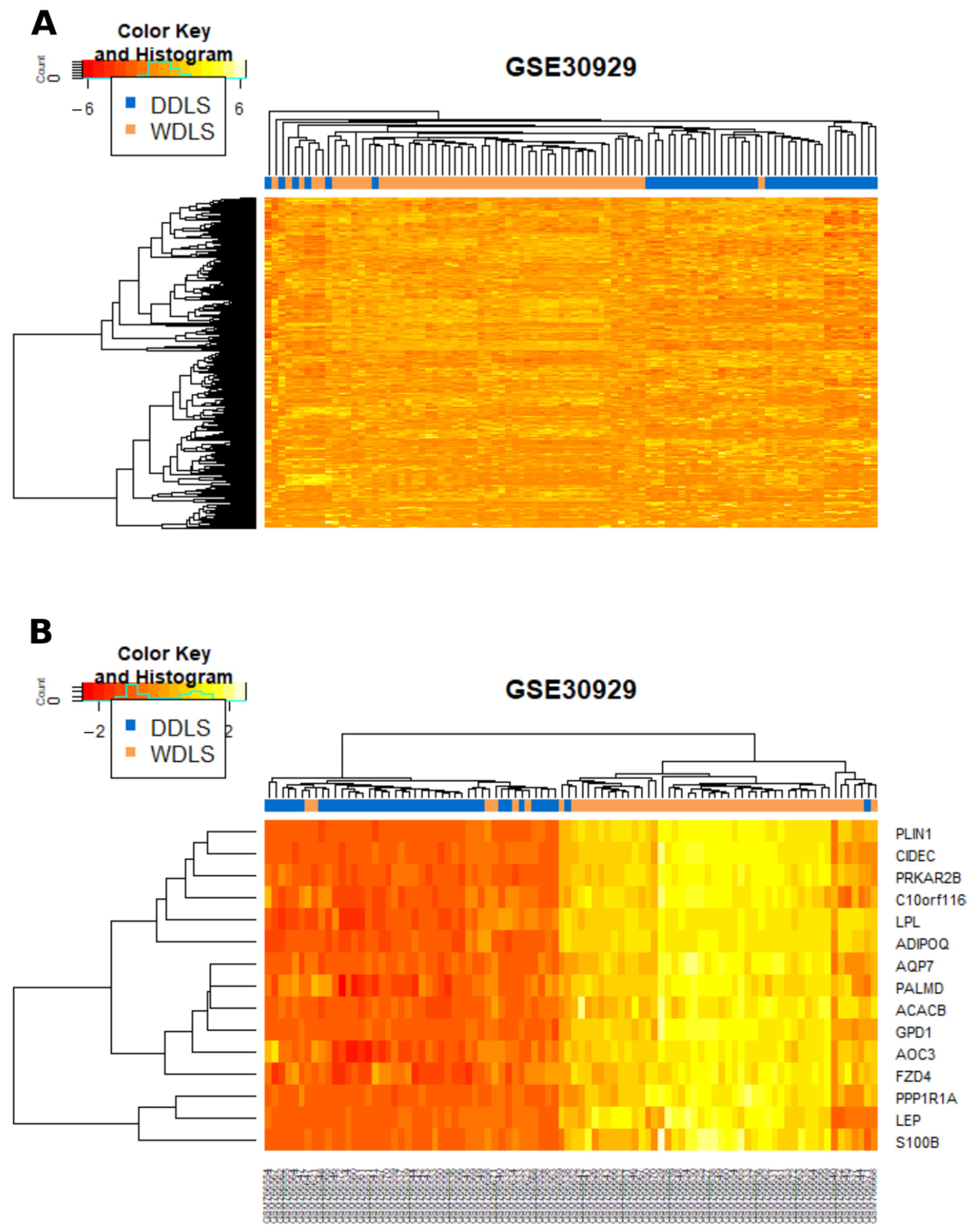 Cancers 13 03049 g002 Cancers 13 03049 g002