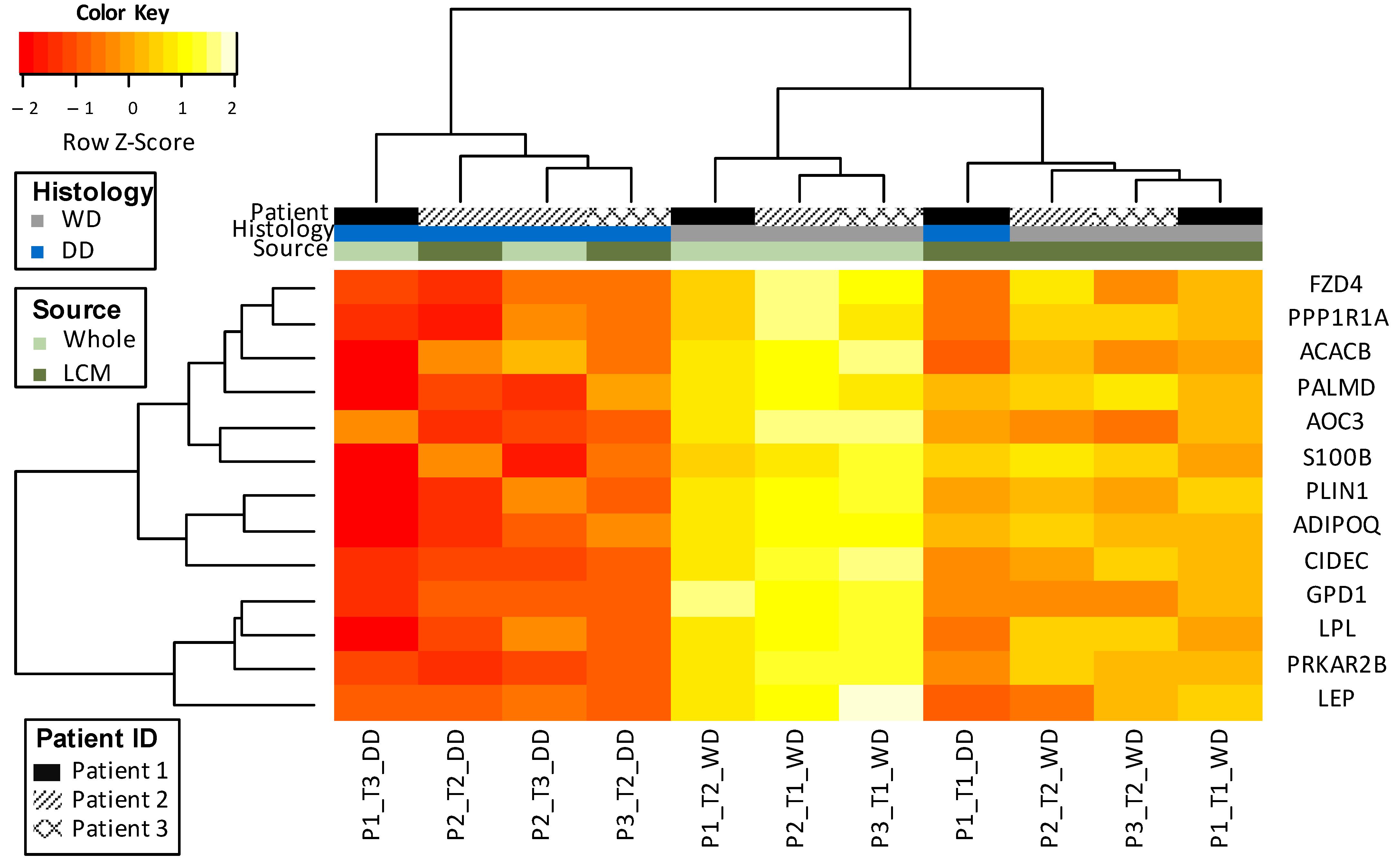 Cancers 13 03049 g003 Cancers 13 03049 g003