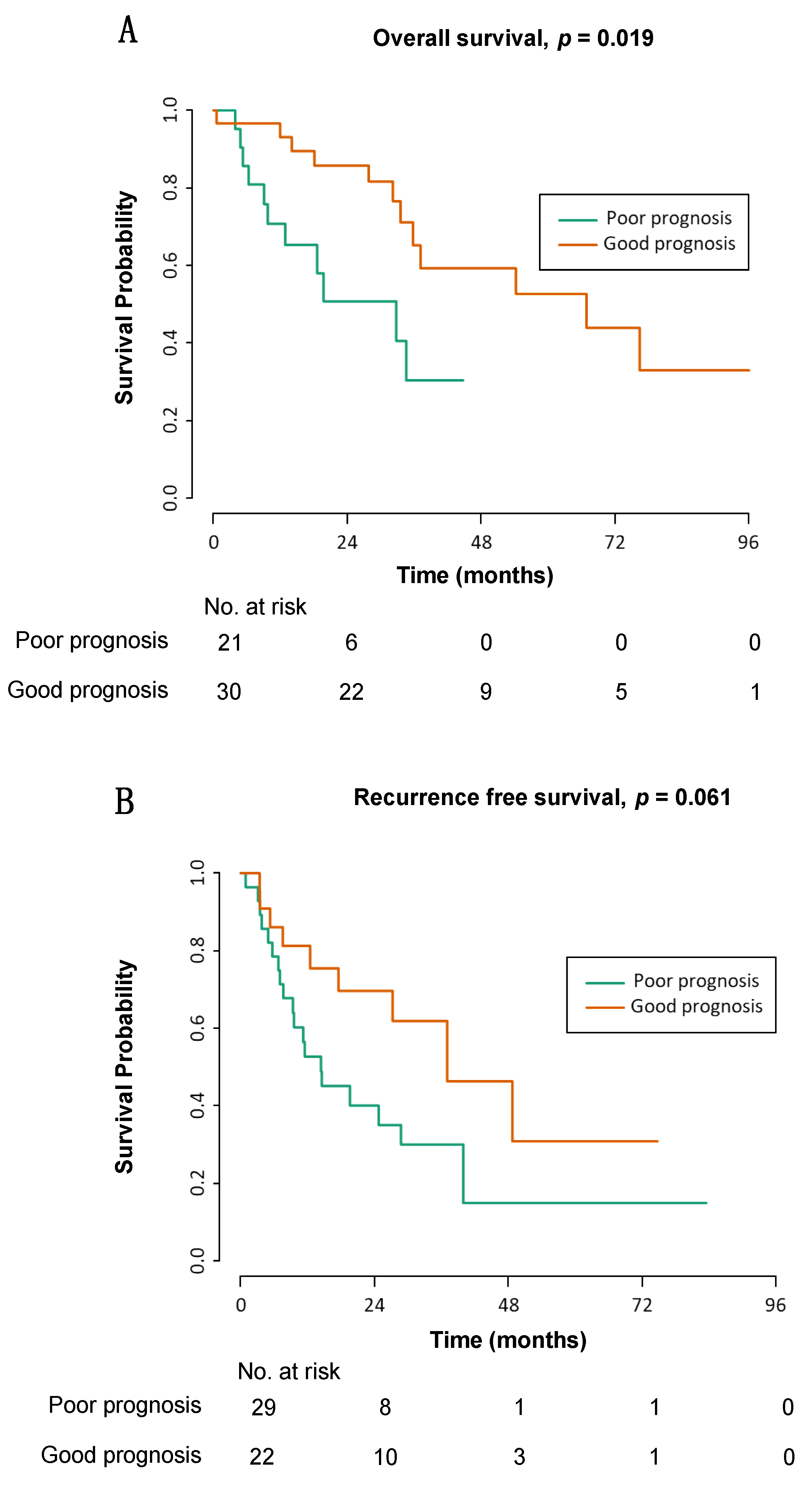 Cancers 13 03049 g004 Cancers 13 03049 g004