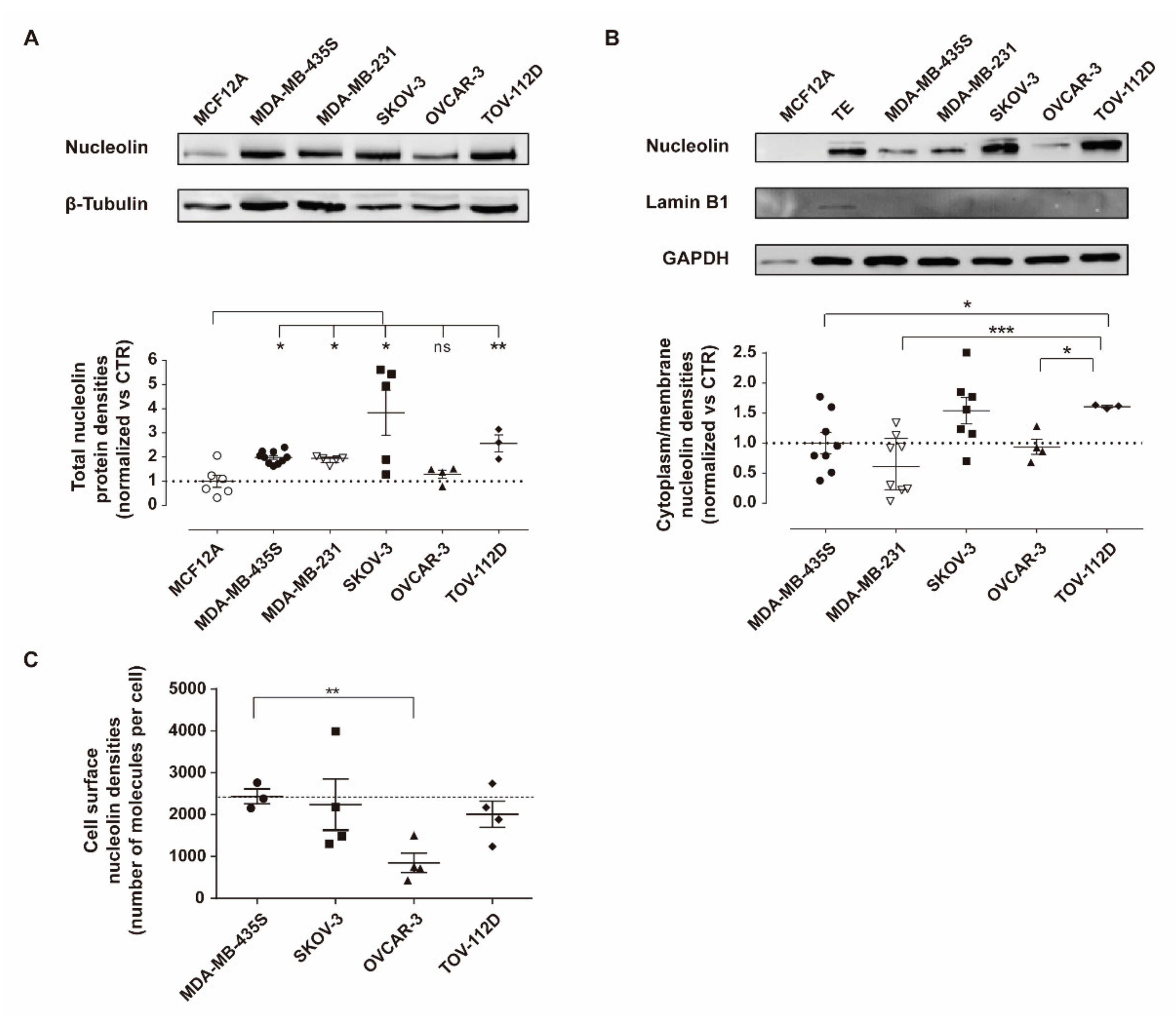 Cancers 13 03052 g001