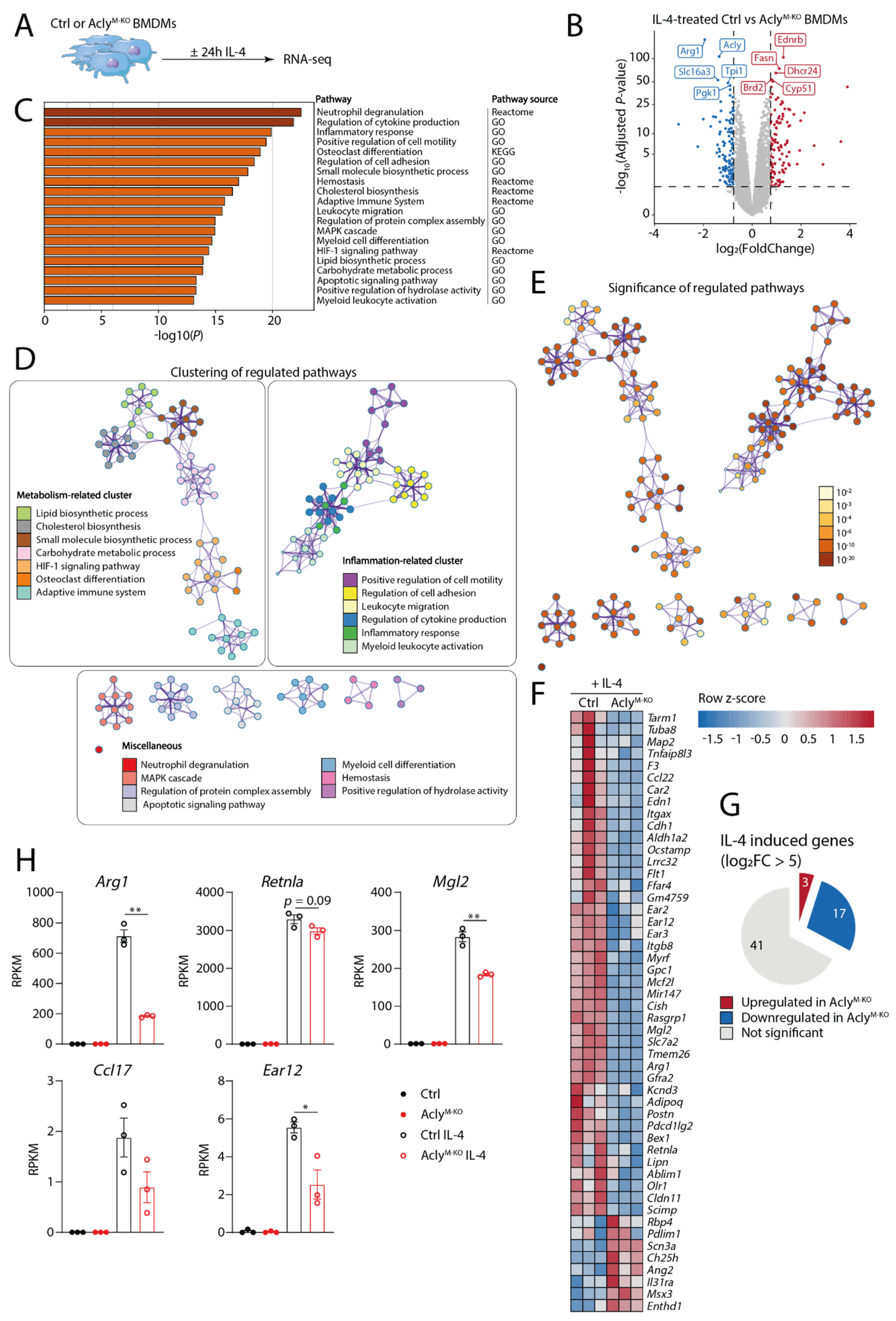 Cancers 13 03054 g001 Cancers 13 03054 g001