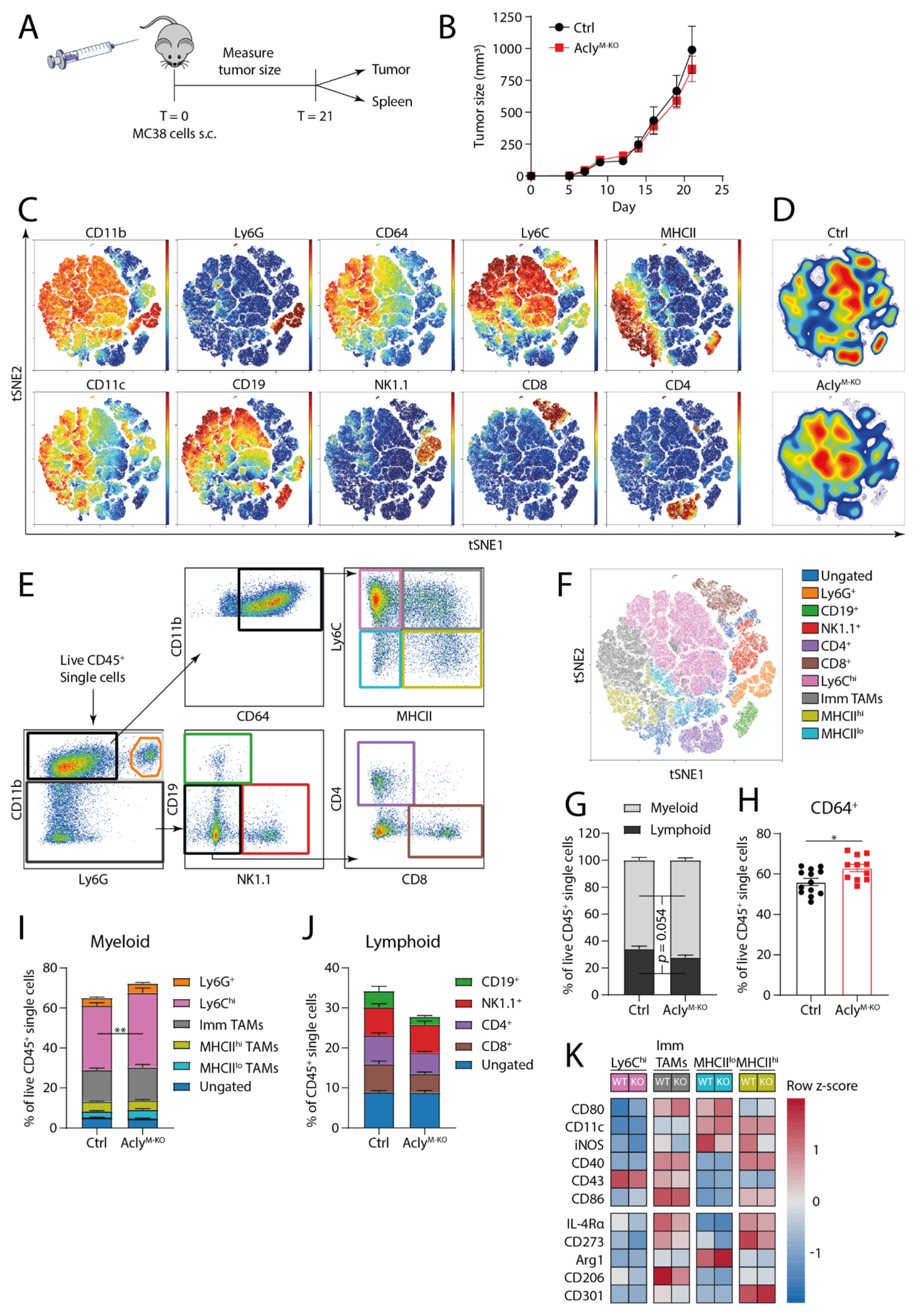 Cancers 13 03054 g002 Cancers 13 03054 g002