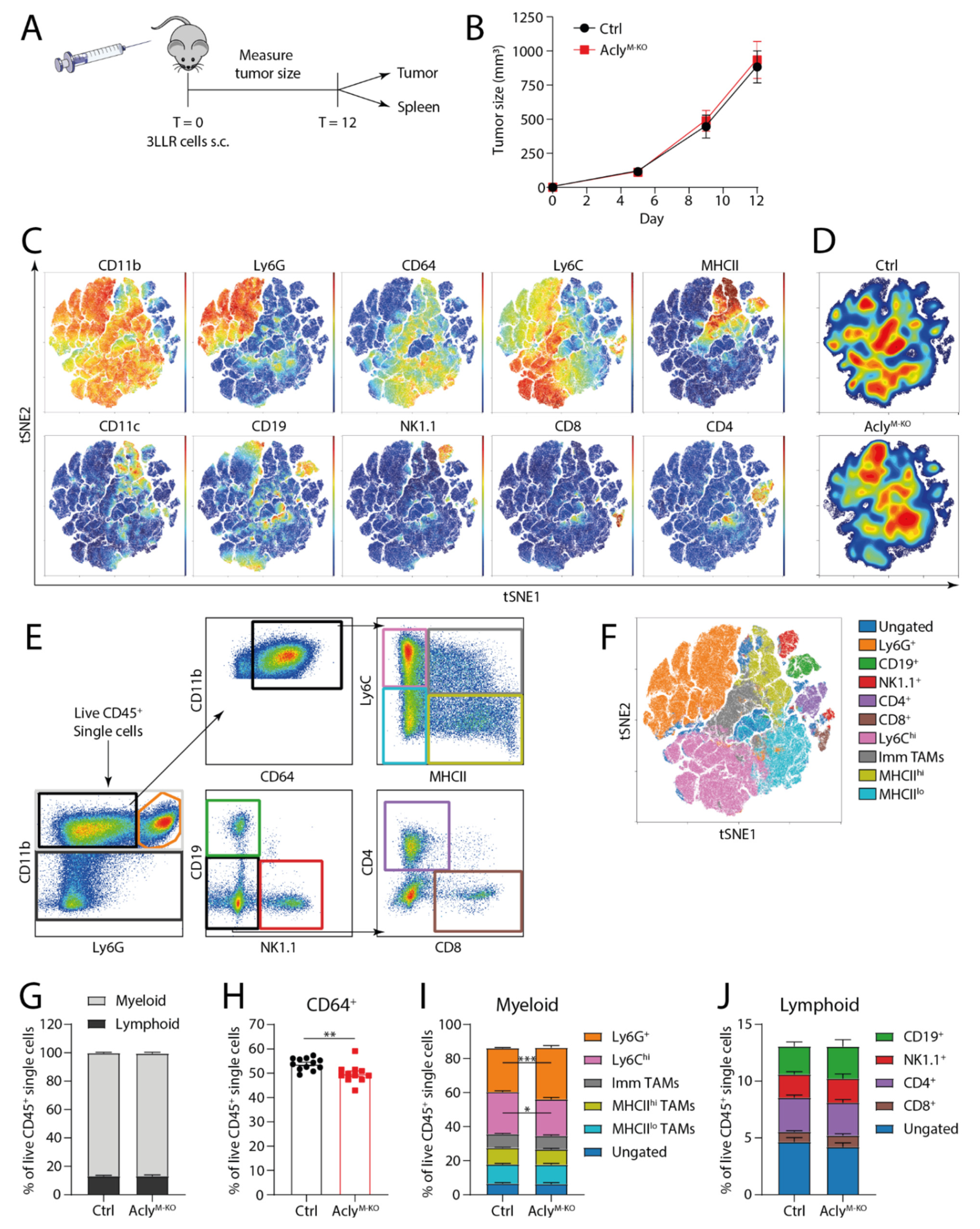Cancers 13 03054 g003 Cancers 13 03054 g003