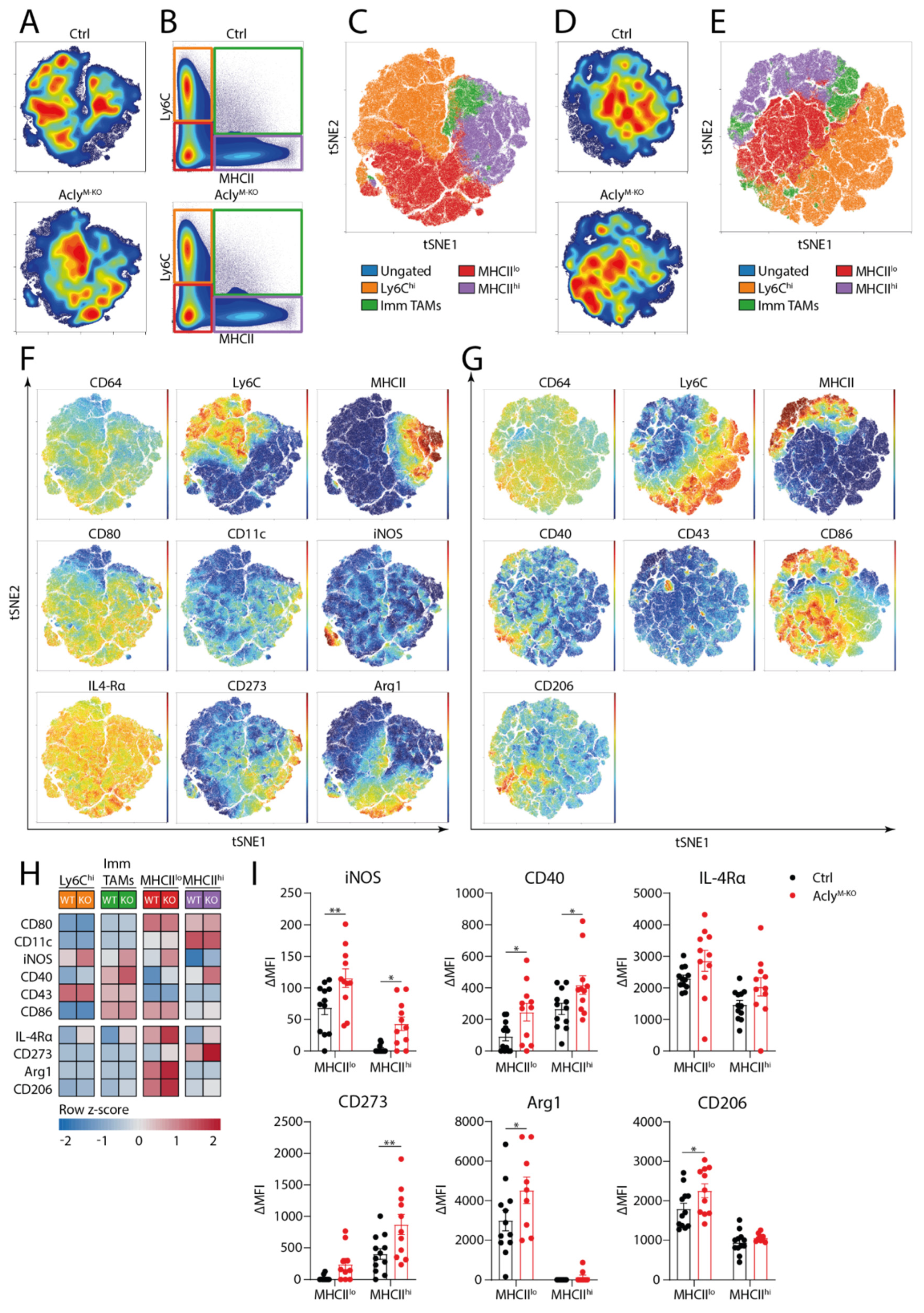 Cancers 13 03054 g004 Cancers 13 03054 g004