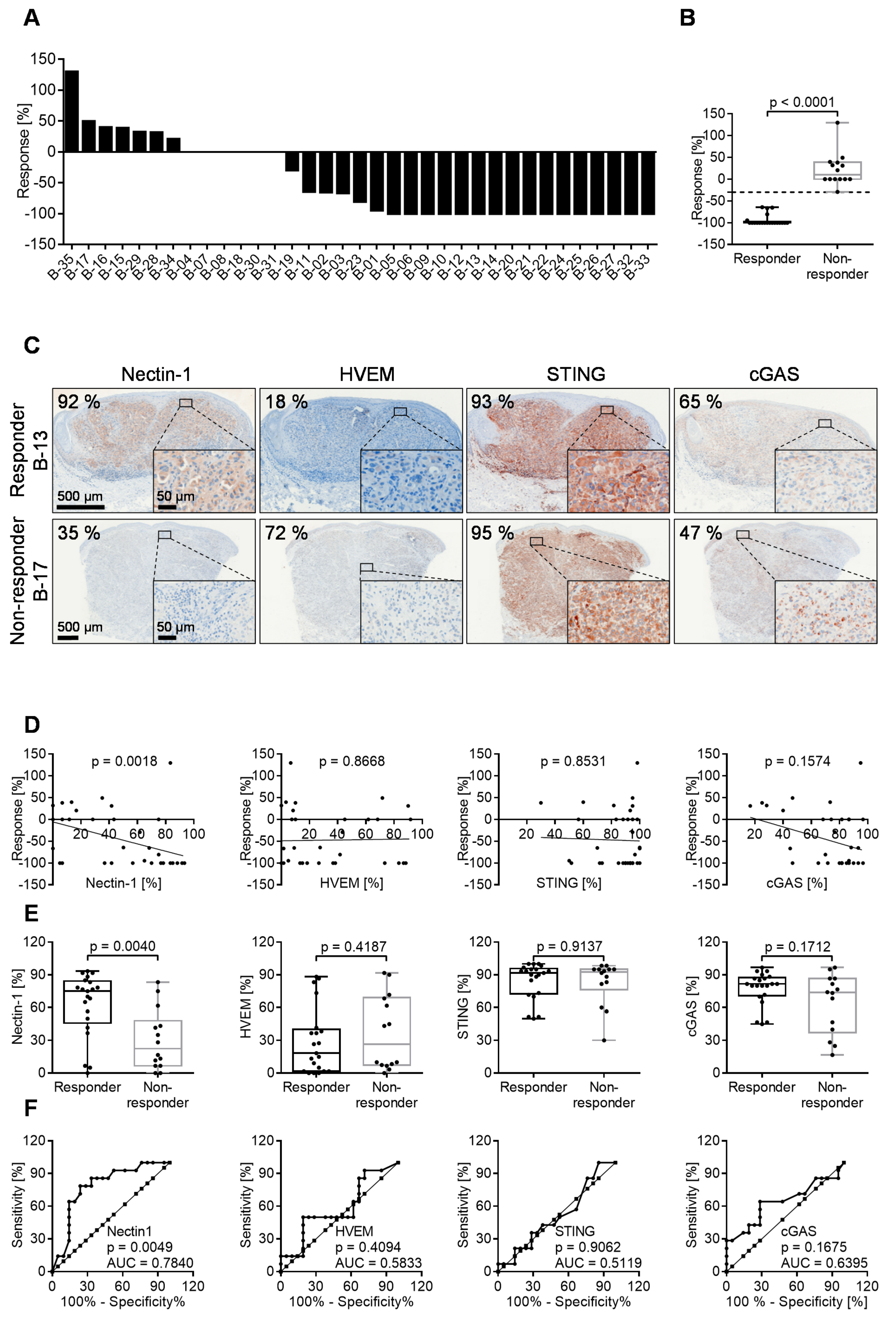 Cancers 13 03058 g005